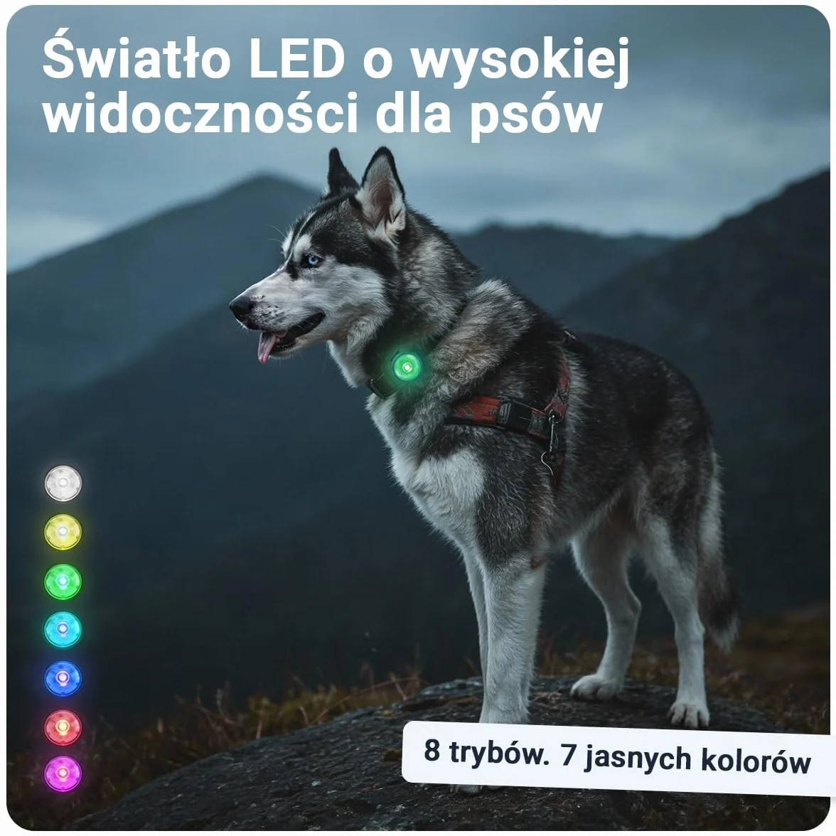 PAJ LIGHT MINI - Mini Świecąca Obroża LED Dla Małych I Średnich Psów I Kotów - Regulowane Mocowanie - 100% Wodoodporna - 7 Kolorów - Widoczność I Bezpieczeństwo W Nocy