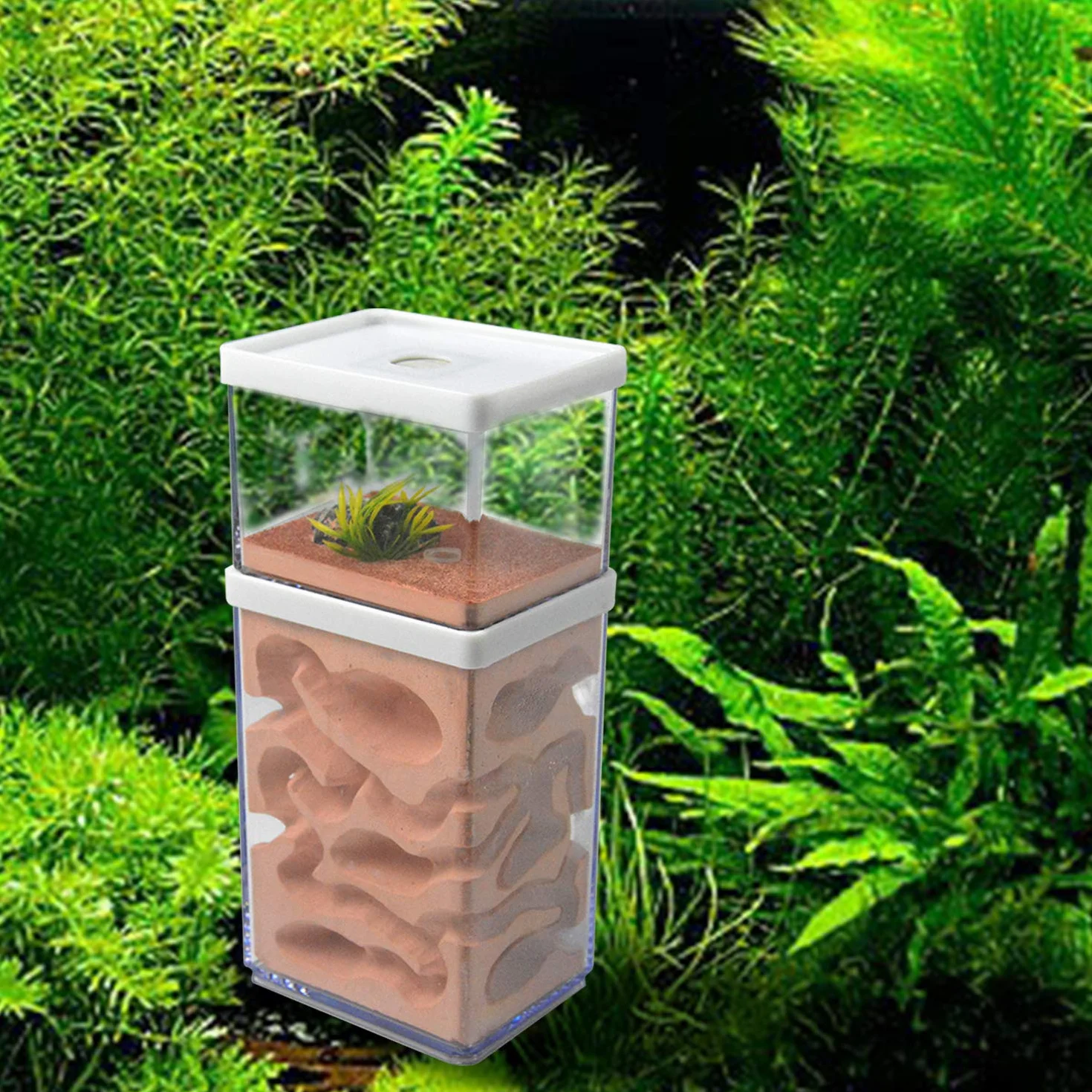 aleawol Naturalna farma mrówek, gniazdo mrówek z gipsu, przezroczysty domek dla mrówek, pudełko do hodowli mrówek, terrarium, domku, Ant Farm Ant Nest Habitat