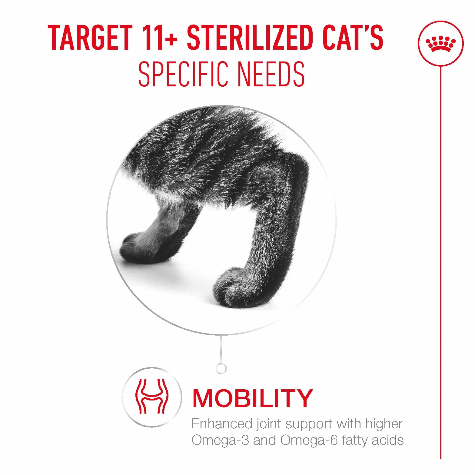 Royal Canin Ageing Sterilised 11+ | 400 g | Sucha karma dla kotów sterylizowana od 11 lat | Formuła z kompleksem HealthyAge7 | Zawiera łatwe do żucia krokiety
