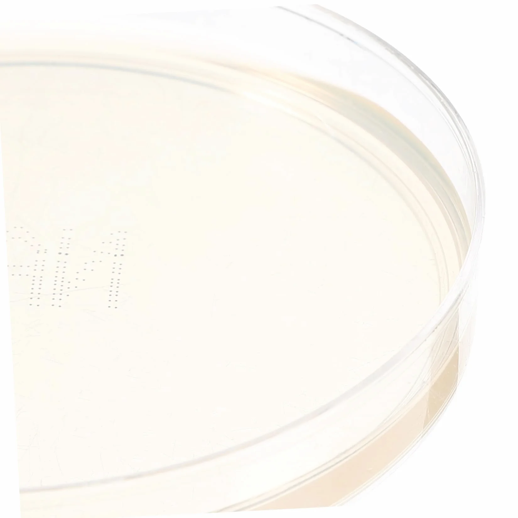 Zestaw Płytek Agarowych Laboratoryjnych 10 Szt Płytek Petriego Agar Płytki Agarowe Odżywcze Do Badań Biologicznych