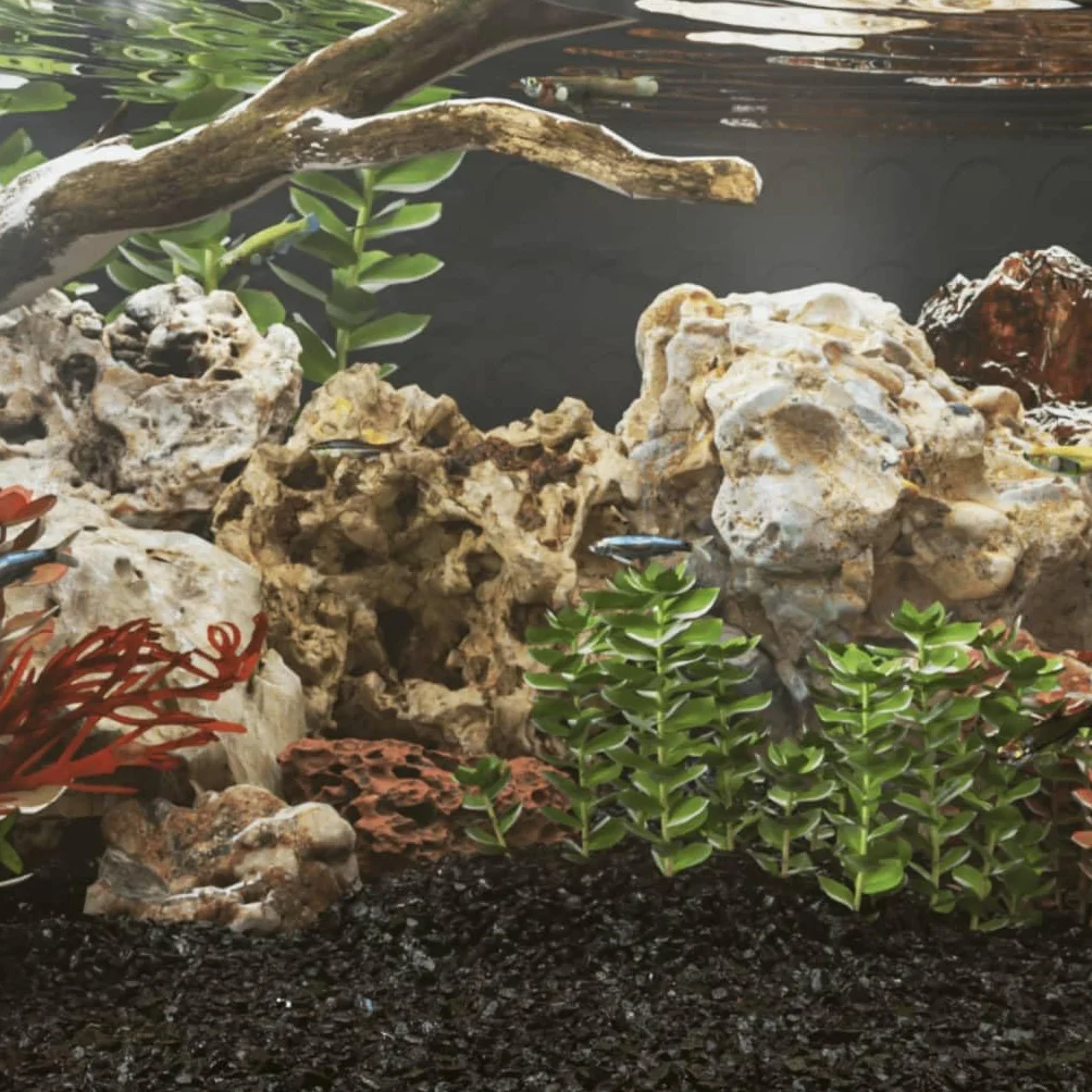 Kamienie smocze brązowe 10 kg 5 do 30 cm do dekoracji akwarium, aquascaping, basenu, rośliny, kryjówki, jaskini i krewetek, ryb, sum, terrarium, naturalne akcesoria
