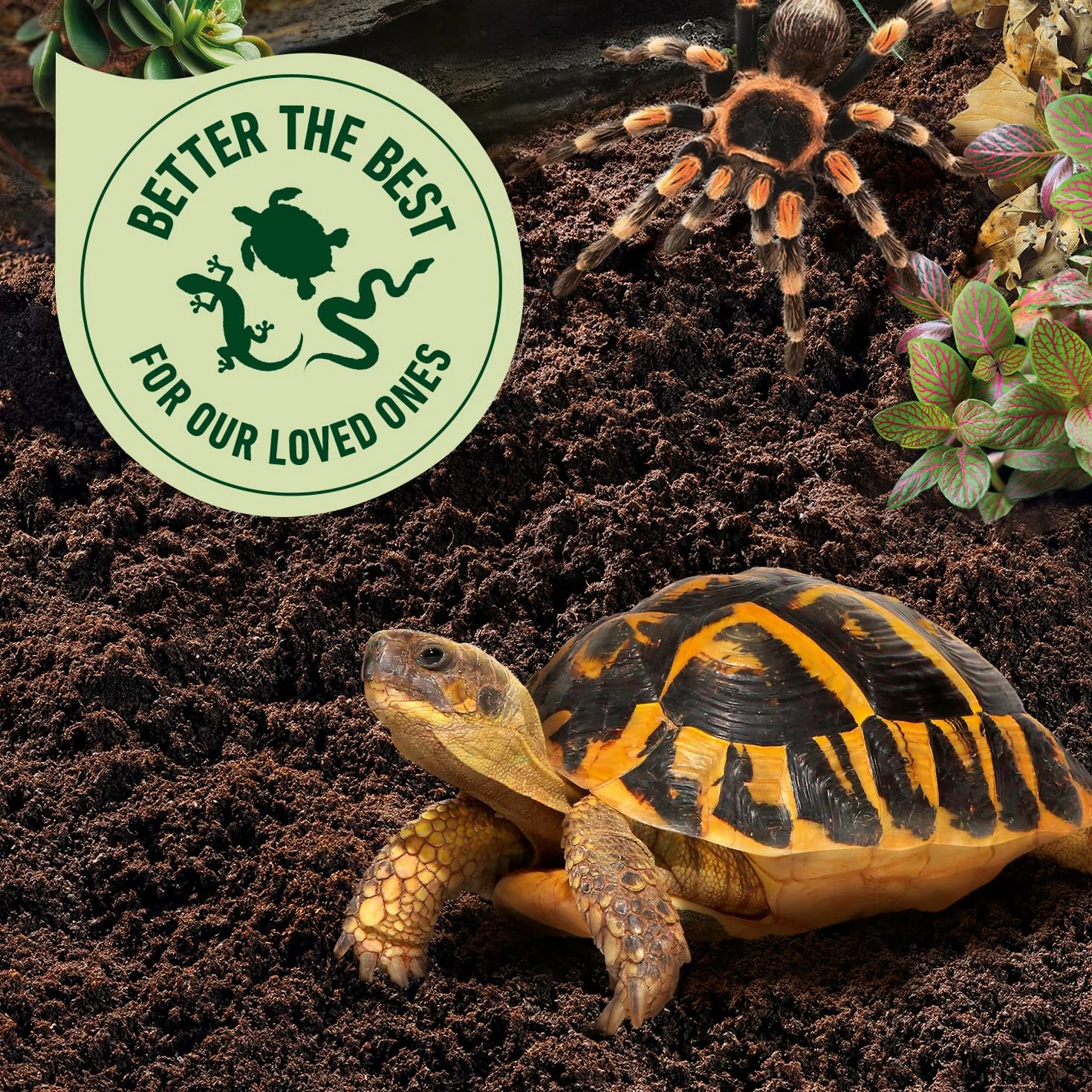 COMPO ZOO ściółka dla żółwi i terrariów, 10 litrów