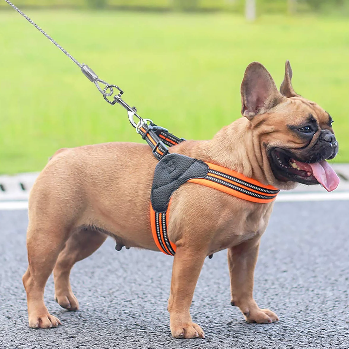 Jinlaili 5 m (5 m) Tie Out Cables dla psów, dla zwierząt domowych, dla małych średnich lub dużych psów (biały)