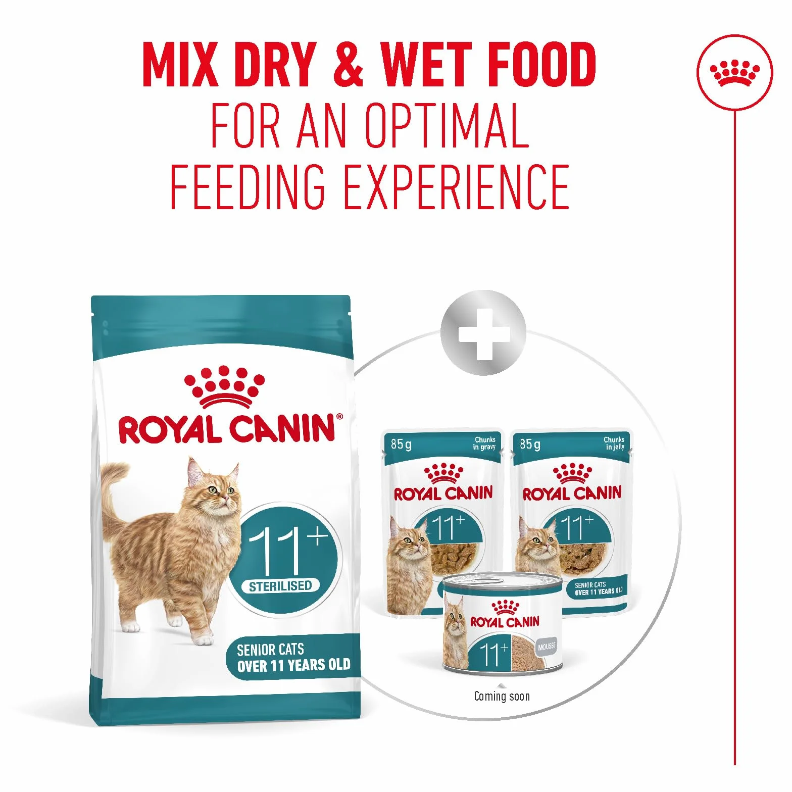 Royal Canin Ageing Sterilised 11+ | 400 g | Sucha karma dla kotów sterylizowana od 11 lat | Formuła z kompleksem HealthyAge7 | Zawiera łatwe do żucia krokiety