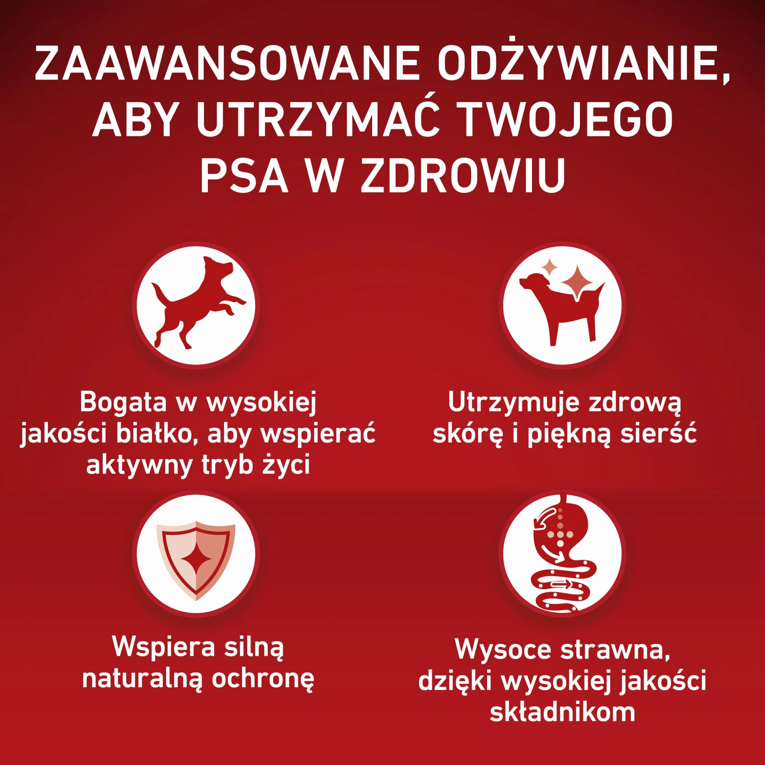 Purina One Mini/Small Active Karma dla Psa, Wołowina I Ryż, 8x800 g