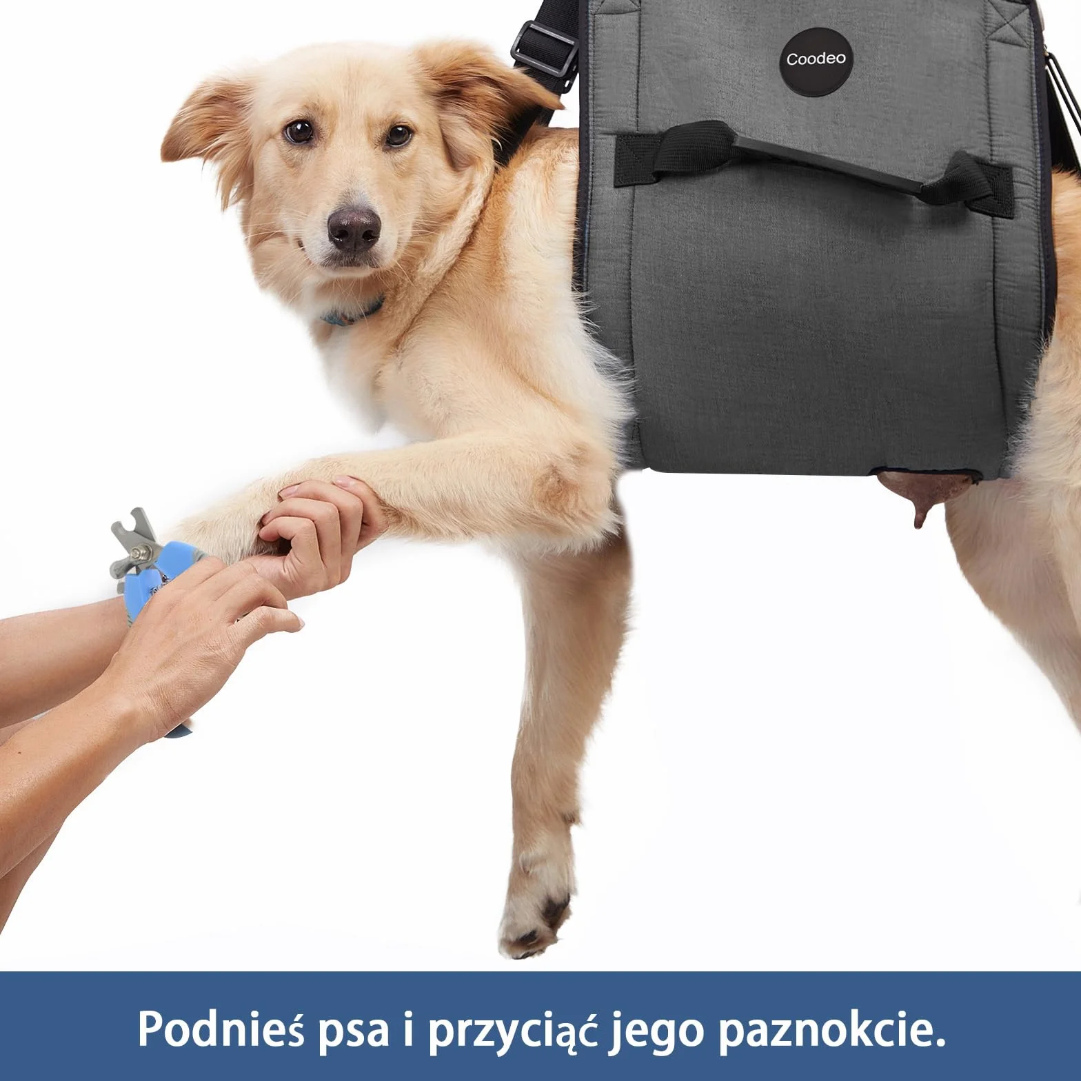 COODEO Dog Carry Sling, Plecak awaryjny dla zwierząt Nogi Wsparcie Dog Lift Harness, Przewoźnik dla psów Artretyzm (XL, czarny)