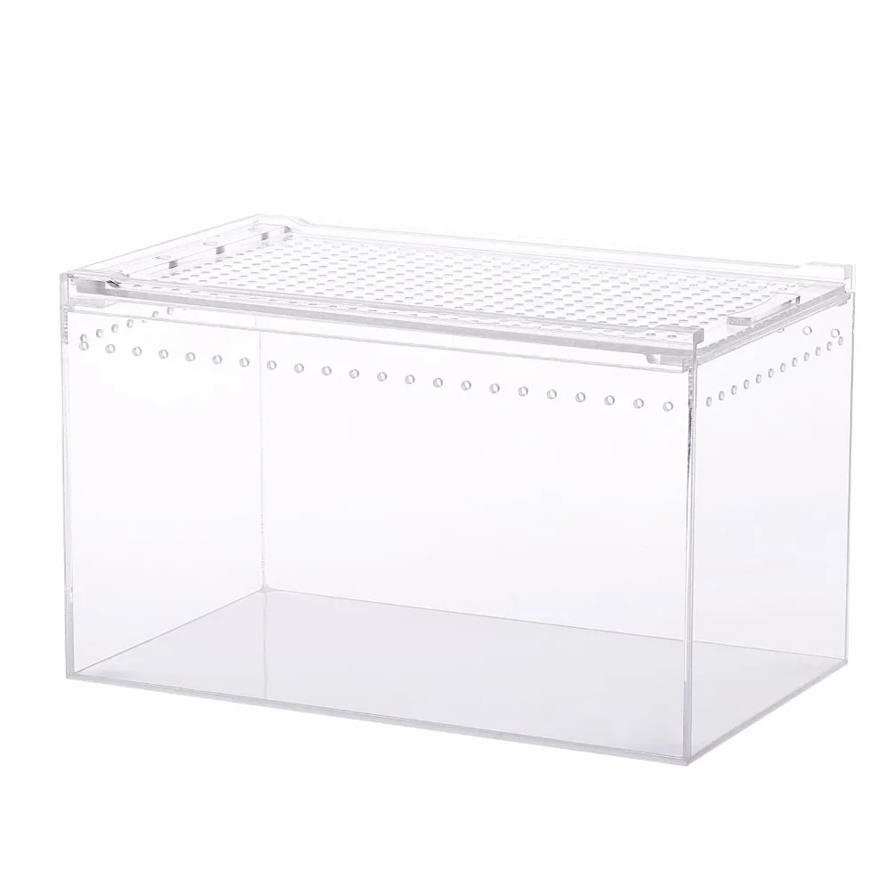 Terrarium dla gadów, duże pudełko do karmienia do małego domowego biura