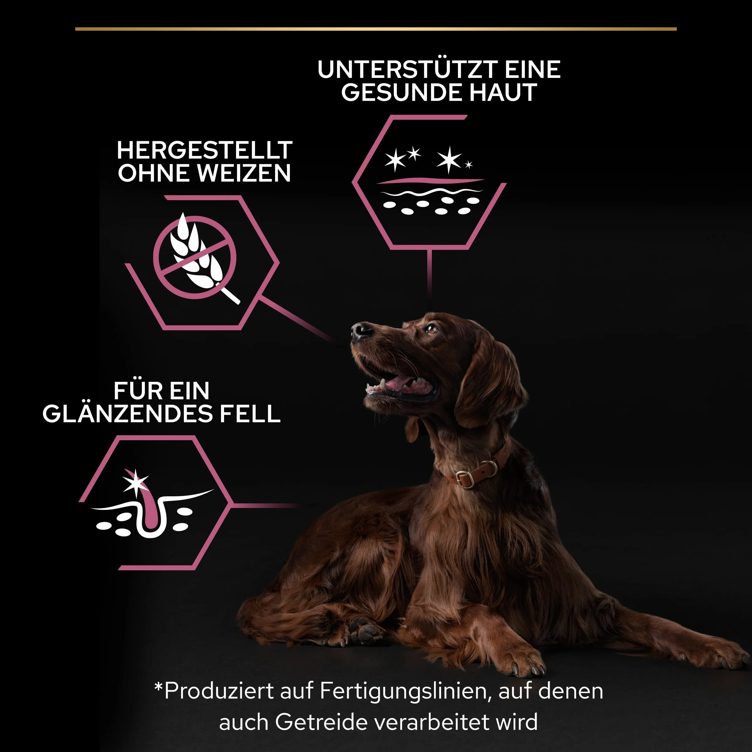 PRO PLAN | Sensitive Skin | Large Athletic Adult | Karma dla psów bogata w łososia | 14 kg
