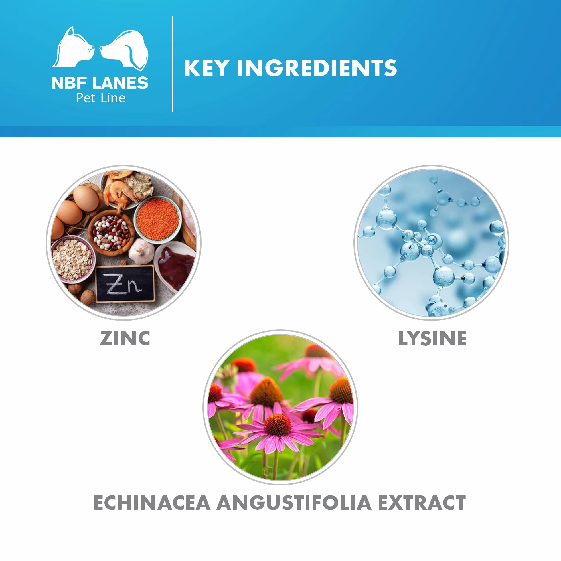 Zincogen Pet Immuno cane e gatto – pasta 30 saszetek NBF Lanes