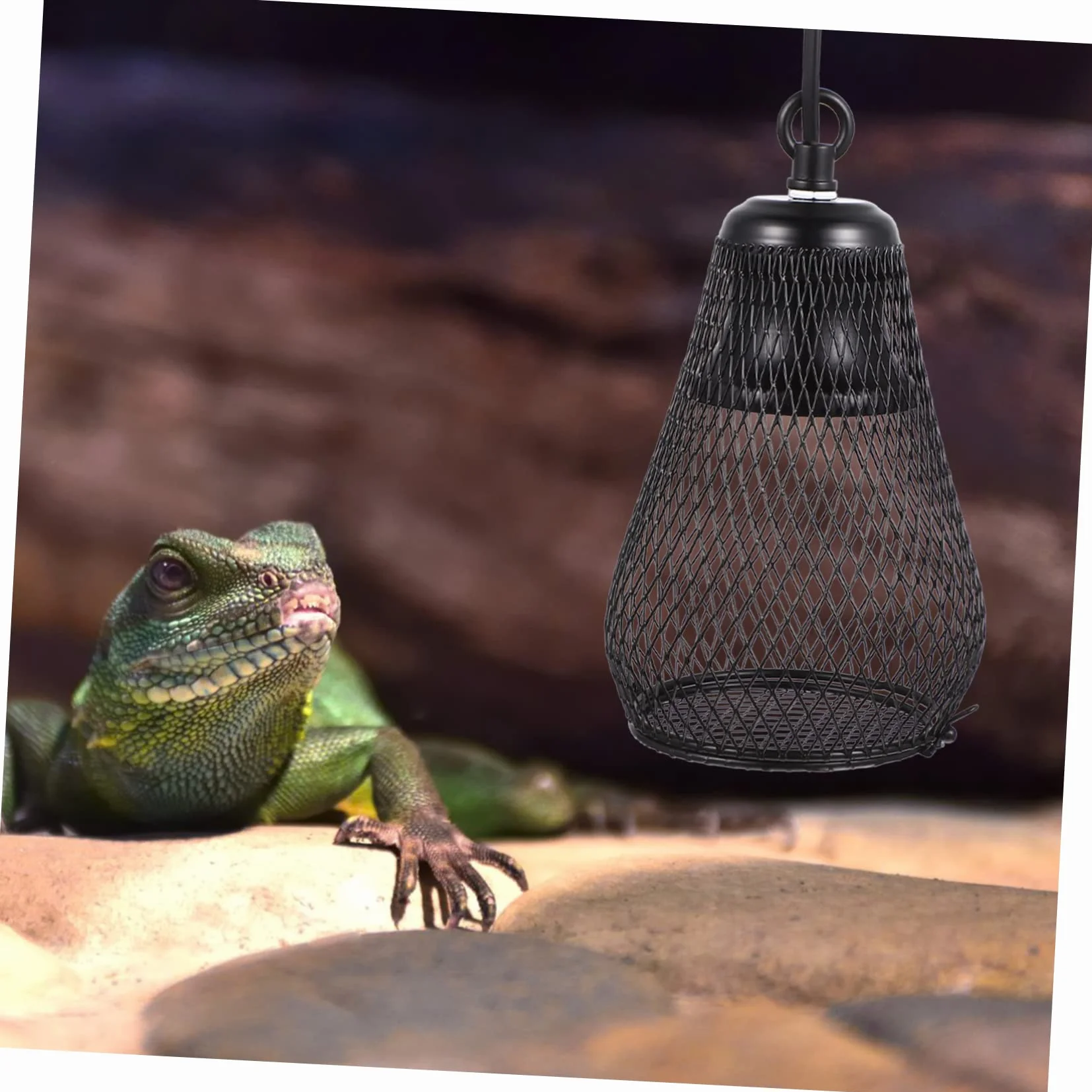 Happyyami Pokrywa Lampy Grzewczej Dla Gadów Osłona Przeciw Oparzeniom Do Lampy Grzewczej Akcesorium Do Terrarium Duża z Hakiem Eu