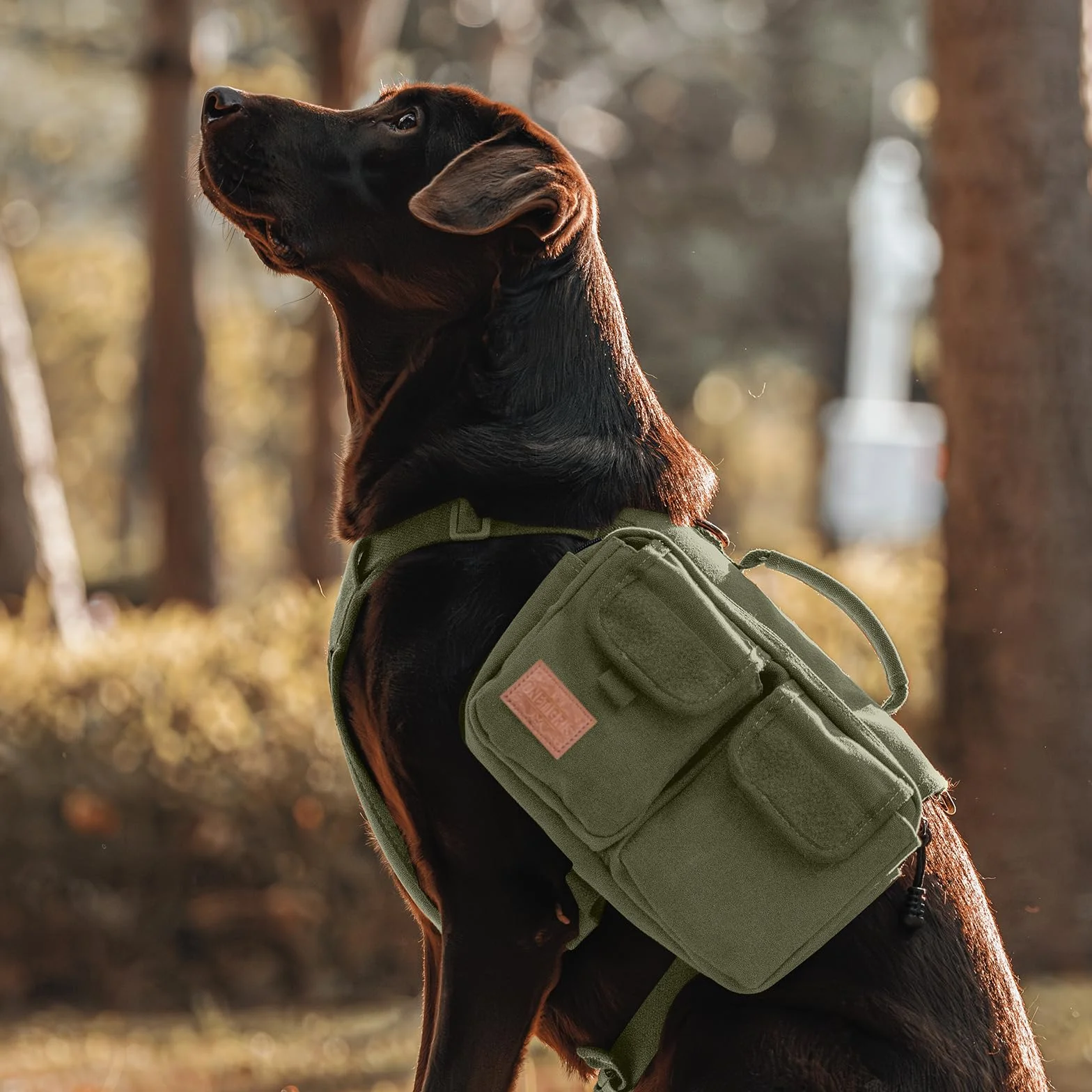 OneTigris Uprząż dla psa z torbą, Hoppy Camper 3.0, kemping, wędrówki, plecak dla średnich i dużych psów, plecak na grzbiety psa, 2 kieszenie główne, 4 kieszenie boczne, zielona, L