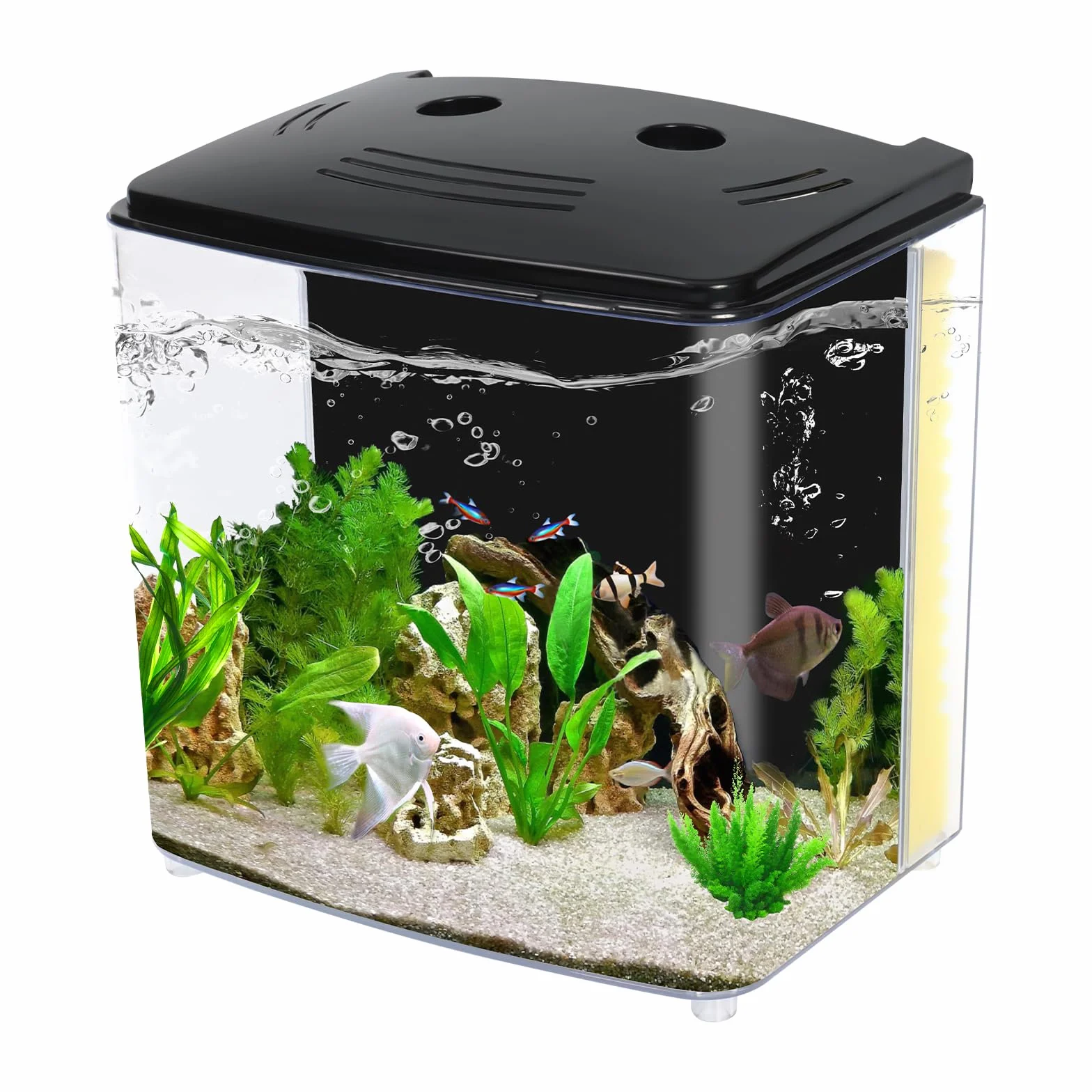 AQUANEAT Akwarium rybne, 1,2 l, mały zestaw startowy do akwarium Betta ze światłem LED i pompą filtrującą wodę