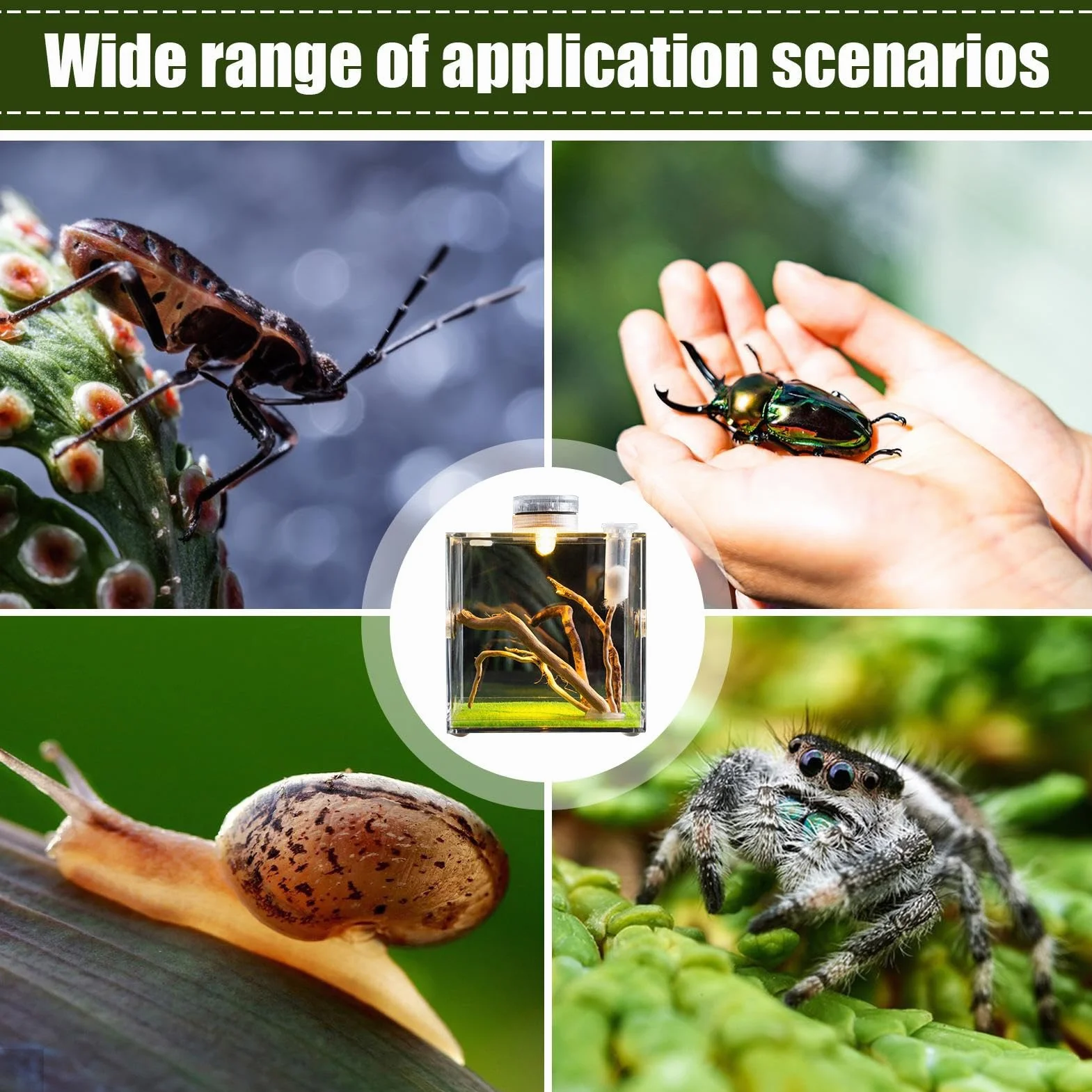 Skaczący pająk obudowa wiosna pająk salon pająk terrarium tarantula obudowa pająk klatka akrylowa chrząszcz terrarium owad terrarium