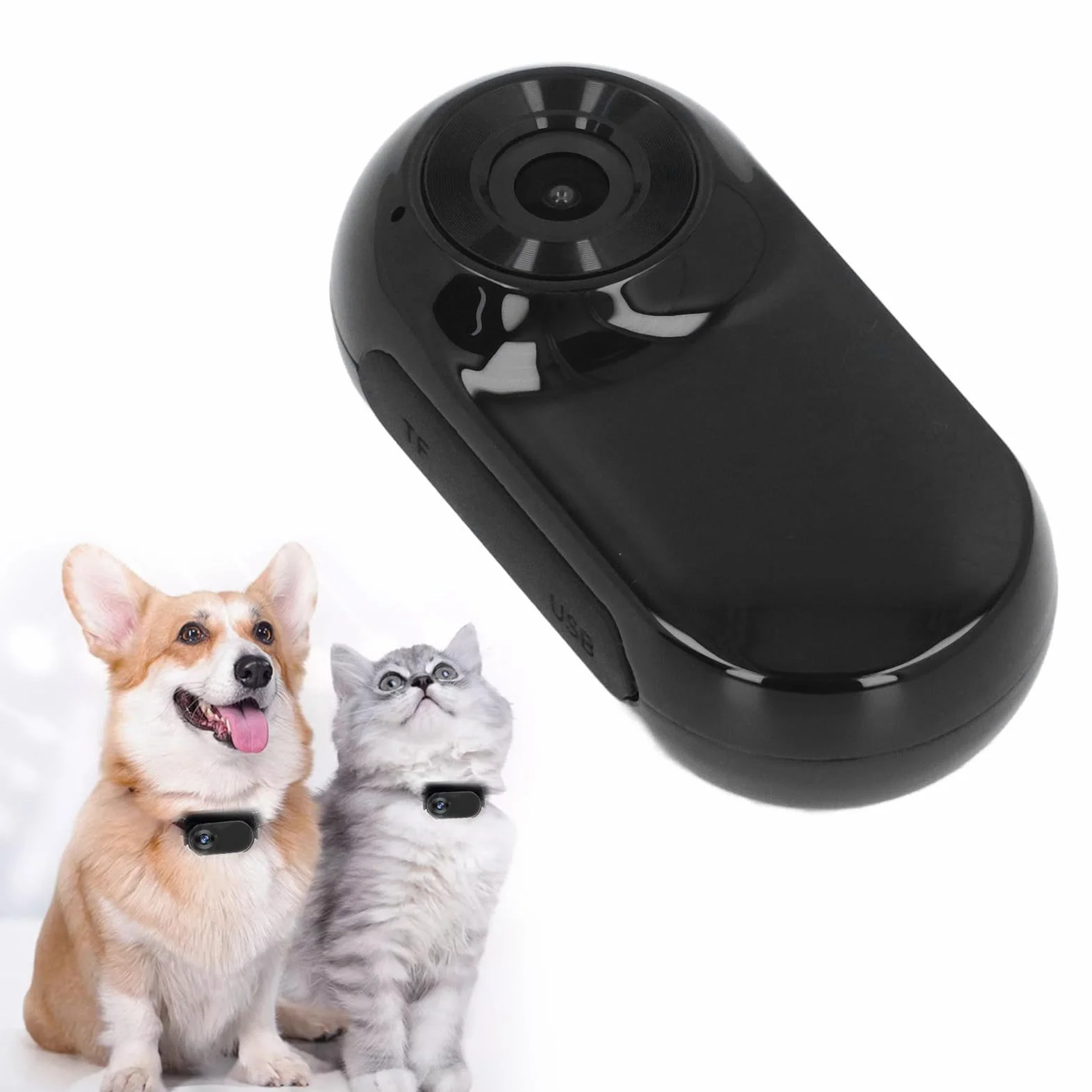 Obroża z kamerą dla Kota 1080P, Szerokokątna Kamera Korpusowa 120° dla Kotów, Mini Kamera Sportowa, Kamera dla Zwierząt Domowych z kartą 8 GB, Kamera z obrożą dla Psa (BLACK)