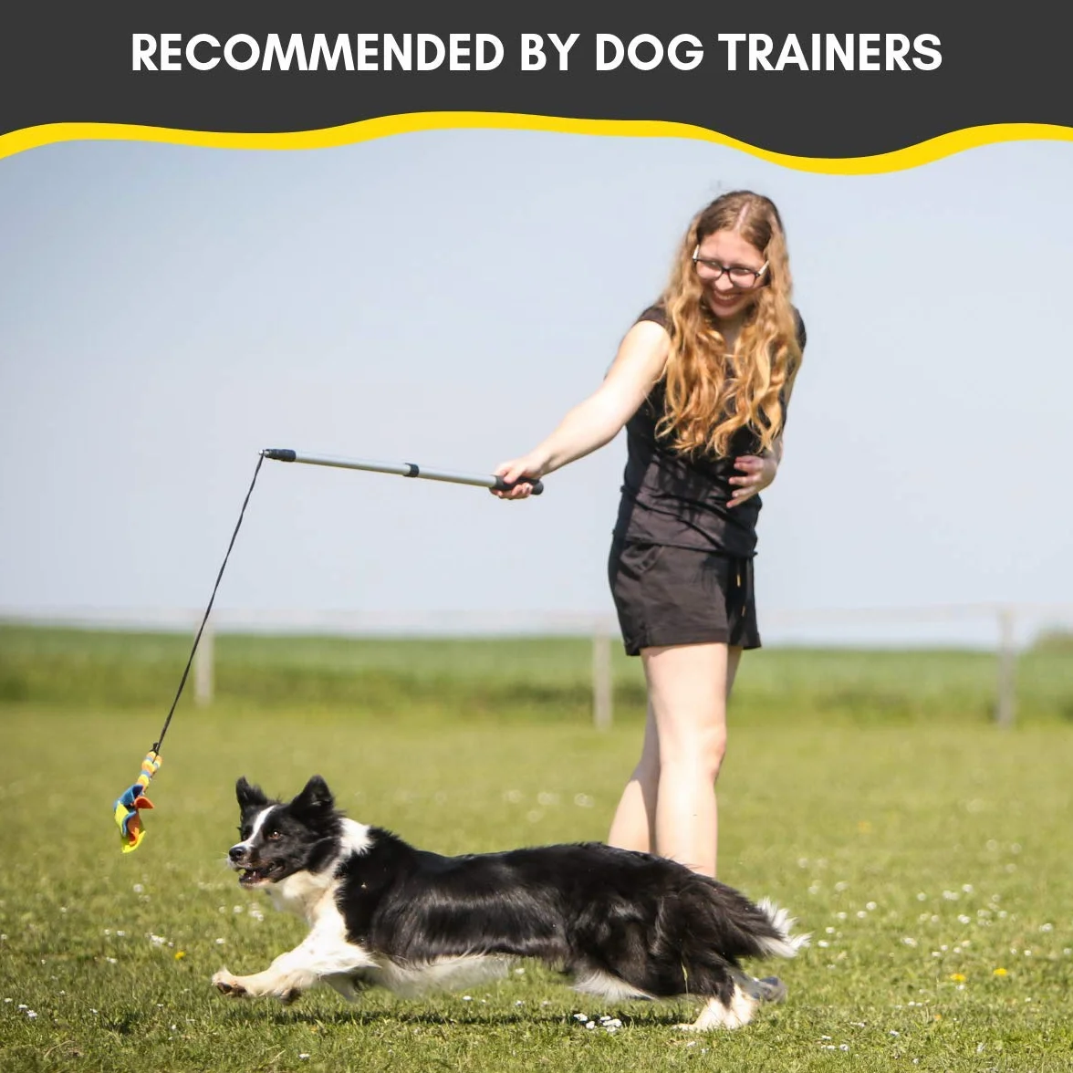 Flirt Pole for Dogs w/ Safe & Strong Non-Bungee Cord, Telescopic Lure Stick for Dogs of Any Size, Dog Toy for Training & Exercise by Yes4Quality
