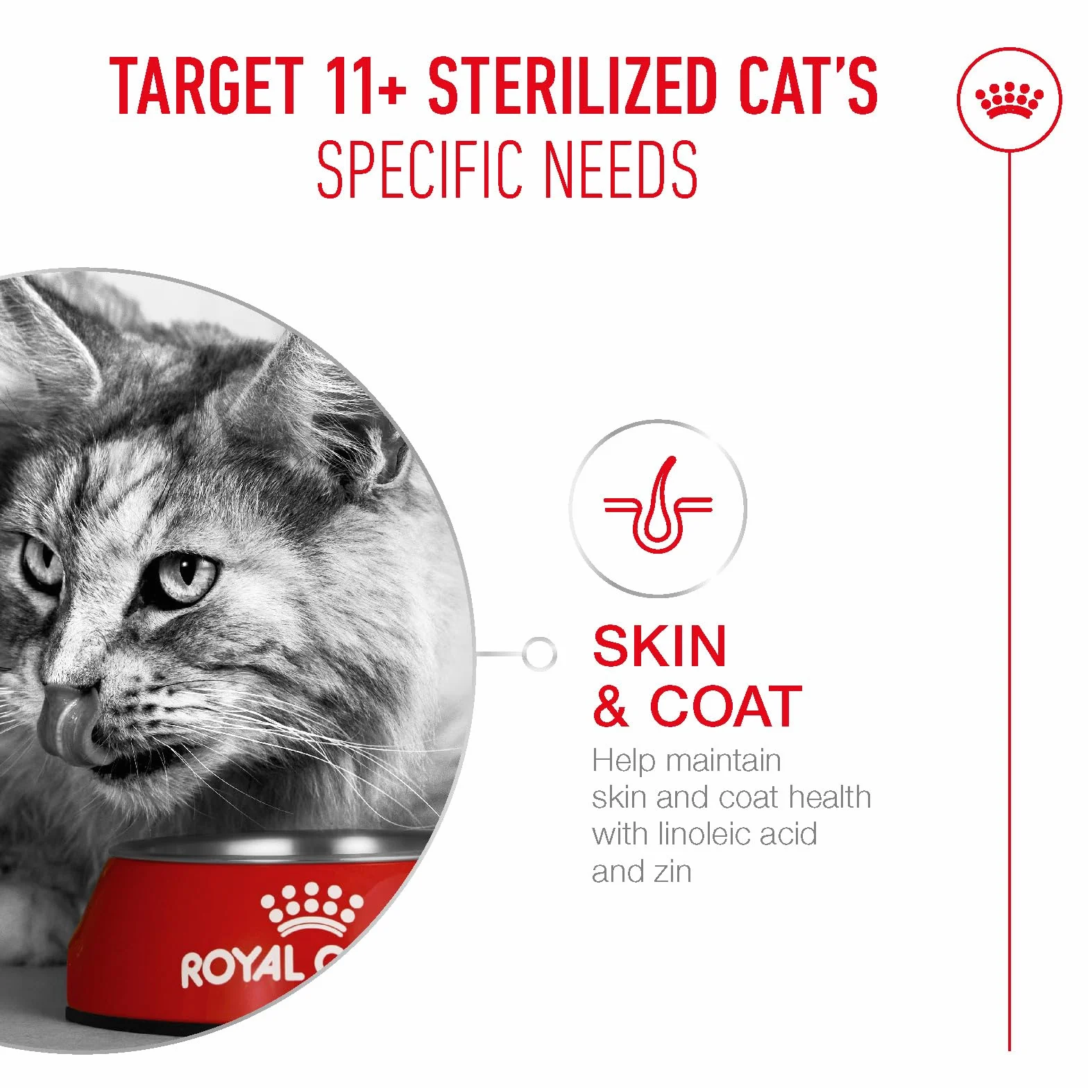 Royal Canin Ageing Sterilised 11+ | 400 g | Sucha karma dla kotów sterylizowana od 11 lat | Formuła z kompleksem HealthyAge7 | Zawiera łatwe do żucia krokiety