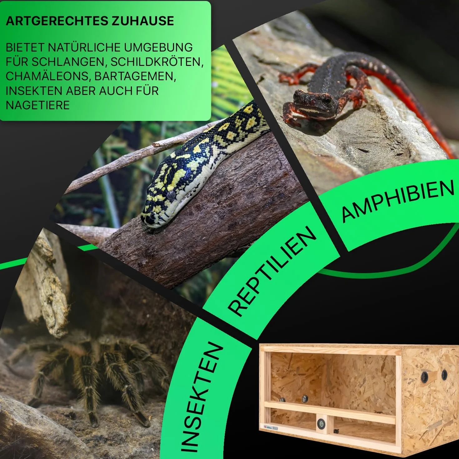 Terrarium z drewna 80x40x40 cm z wentylacją boczną i wbudowanym higrometrem, terrarium z drewna OSB3, dla gadów, węży, płazów, produkt UE, certyfikat FSC