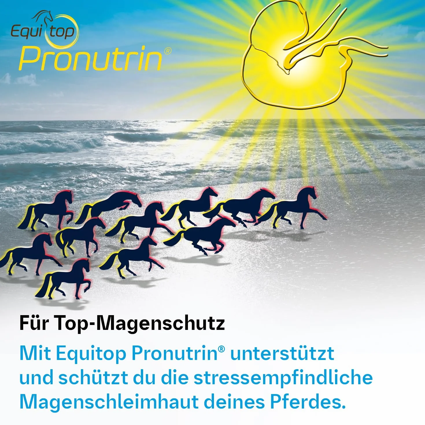 Boehringer-Ingelheim Unisex's BIH0030 Equitop Pronutrin, przezroczyste, regularne
