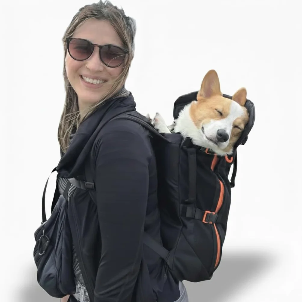 Maxine One Dog Backpack Carrier firmy LITTLE CHONK, regulowana torba skierowana z przodu do podróży lub wędrówek, stworzony dla zwierząt domowych o wadze do 22,7 kg, czarny