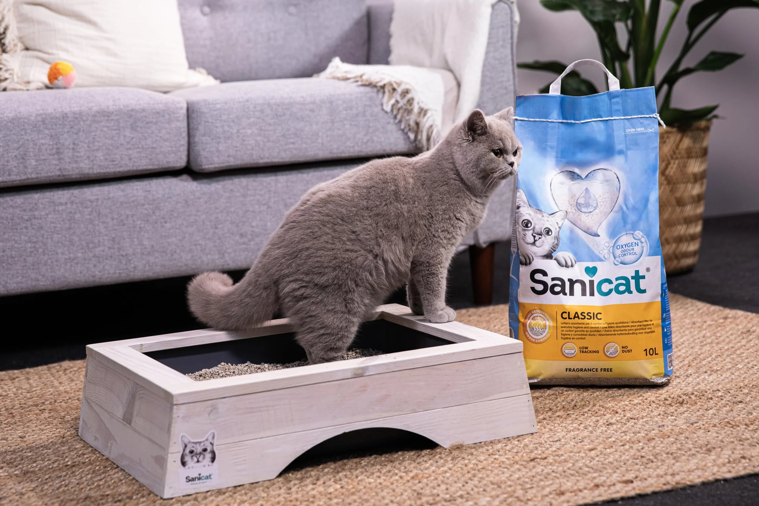 Sanicat – Klasyczny bezzapachowy żwirek dla kota | Szybkie wchłanianie | Wysokiej jakości produkt zapewniający higienę Twojego pupila | Bezpyłowy | Pojemność 10 l