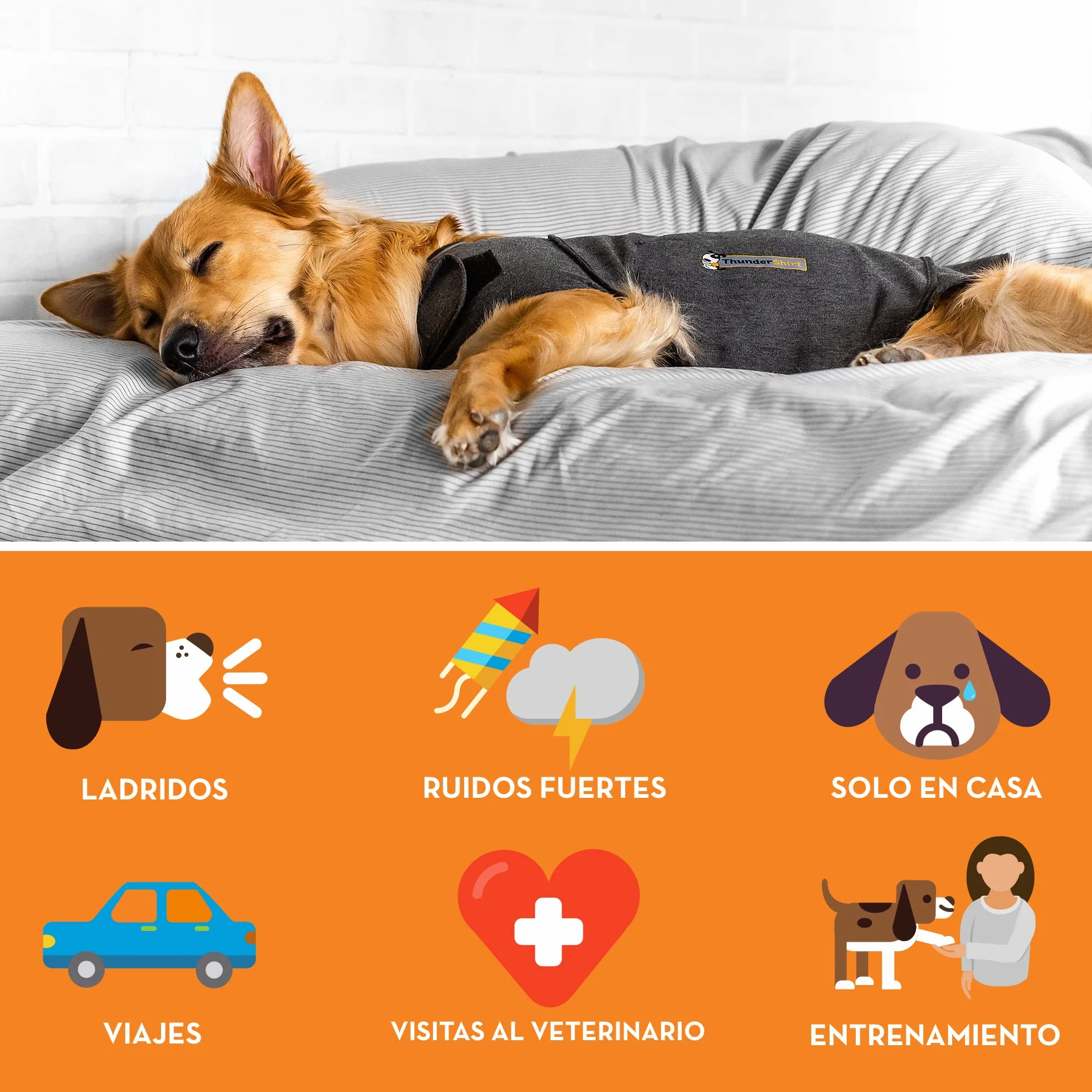 ThunderShirt: Uspokajająca kurtka dla psów, natychmiastowa naturalna ulga w przypadku lęku, fajerwerków, podróży, Thunder - szara kurtka 5 rozmiarów XS