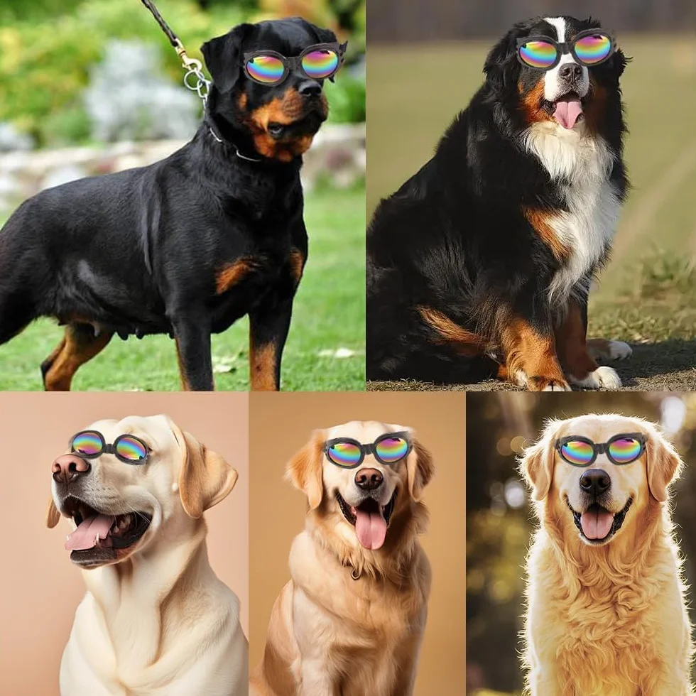 Jiayaus Gogle dla małych psów średniej rasy, okulary przeciwsłoneczne dla psów, ochrona przed promieniowaniem UV, okulary dla psów z regulowanym paskiem, wiatroszczelne okulary przeciwsłoneczne dla