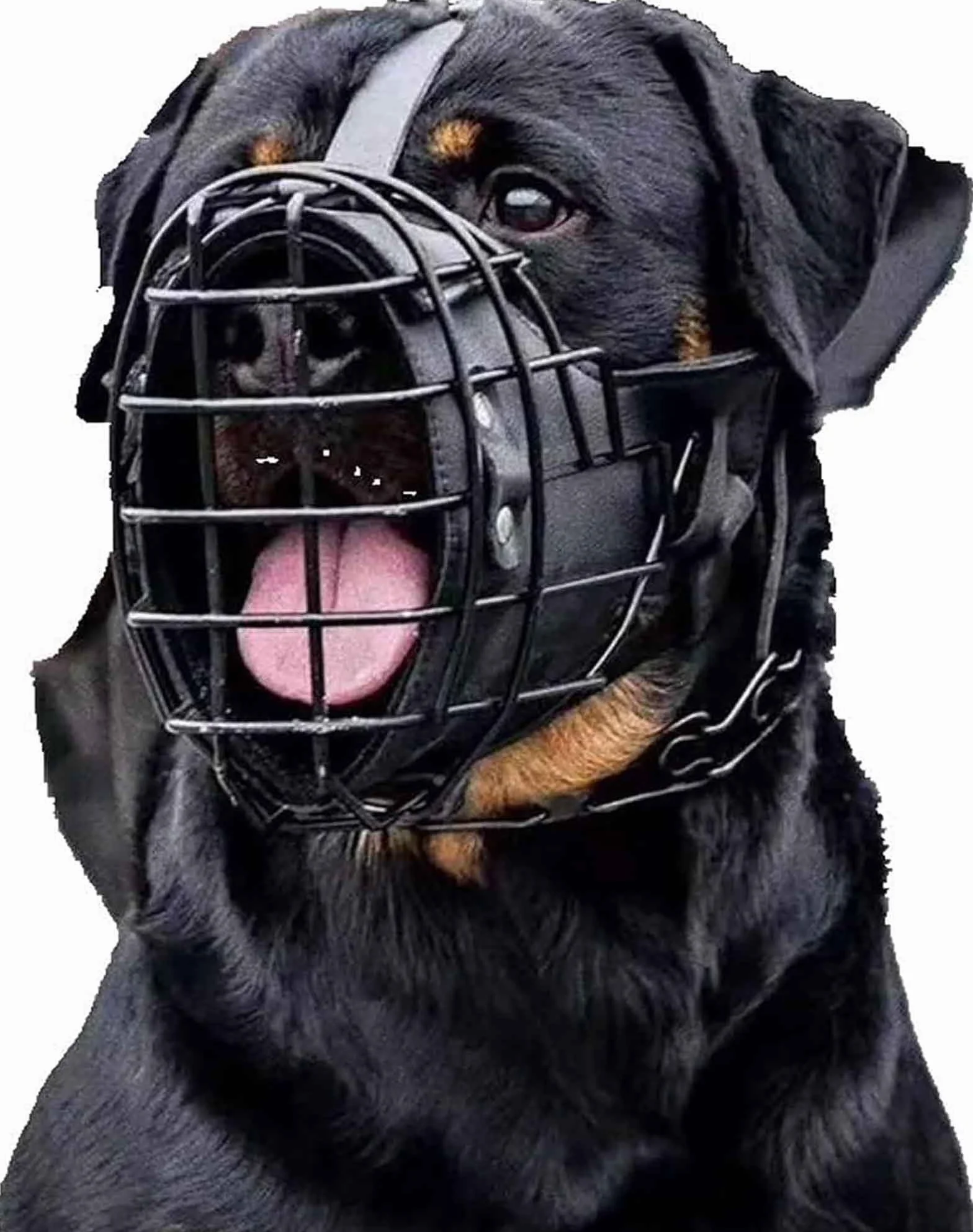 Kaganiec dla psa z metalu i skóry, regulowany kaganiec dla owczarka niemieckiego, dobermana, rottweilera i innych średnich i dużych psów, idealny do treningu, czarny, L
