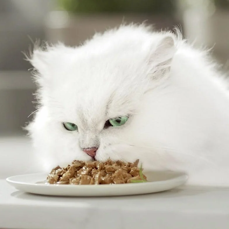 Purina Tidy Cats A La Carte Mokra Karma dla Kotów, Kurczak, 60 x 85g
