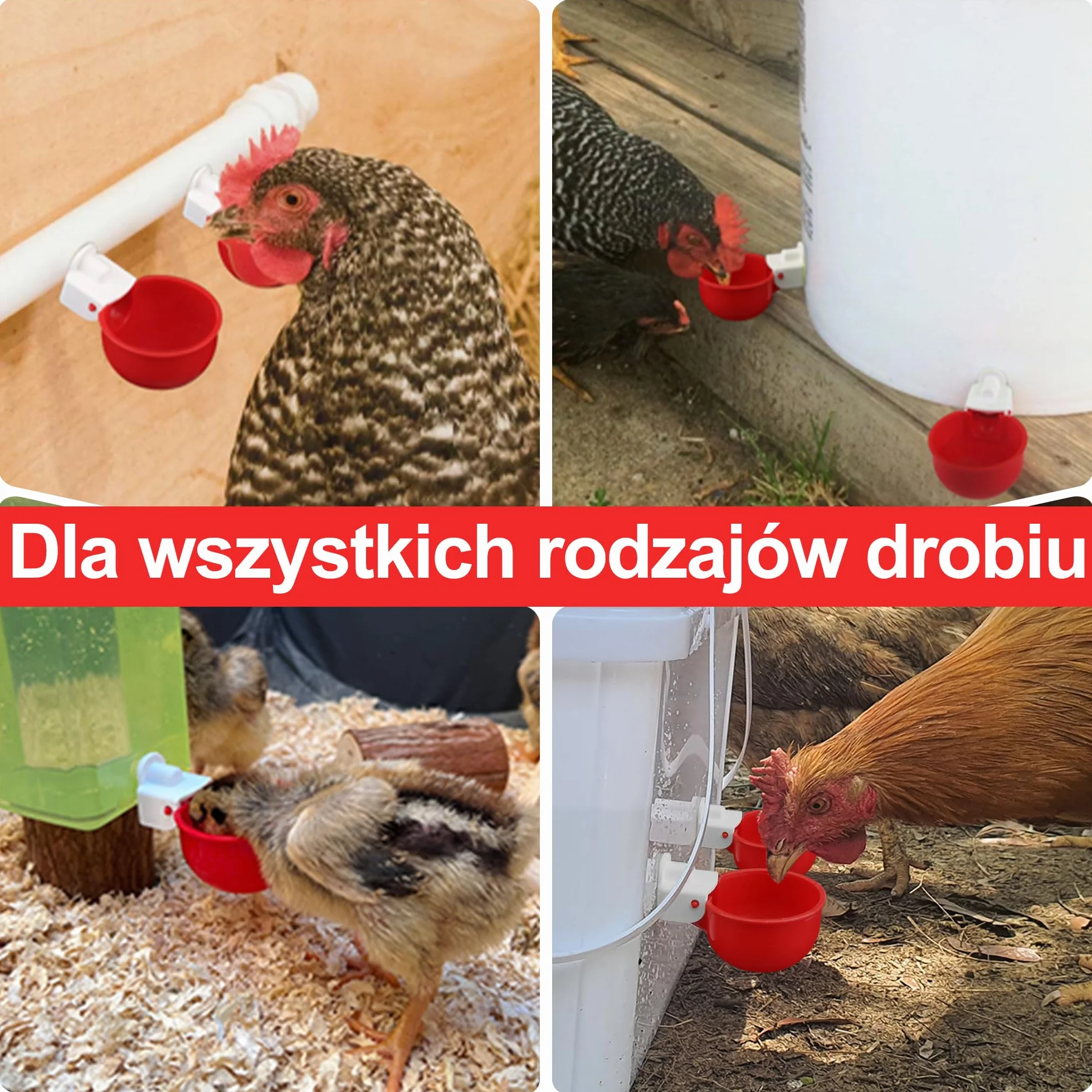 Automatyczne poidło dla kur MPT 1/8 cala zestaw 6 sztuk