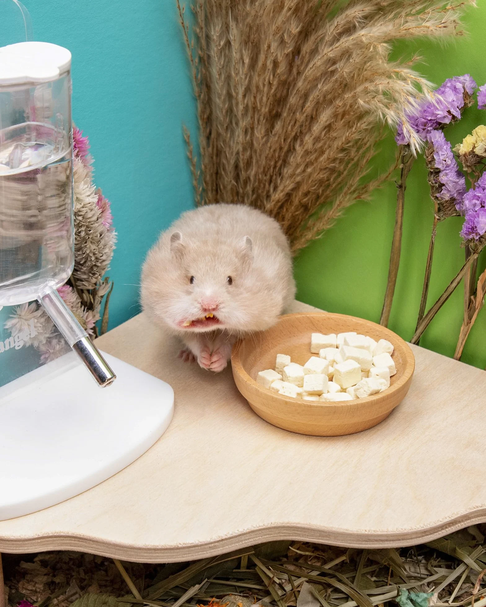 Niteangel Zabawka dla chomików i smakołyków – naturalna uczta dla chomików karłowatych, chomików syryjskich, robo, gerbilów, myszy, degusów lub (zamrożone tofu 5 mm – 20 g)