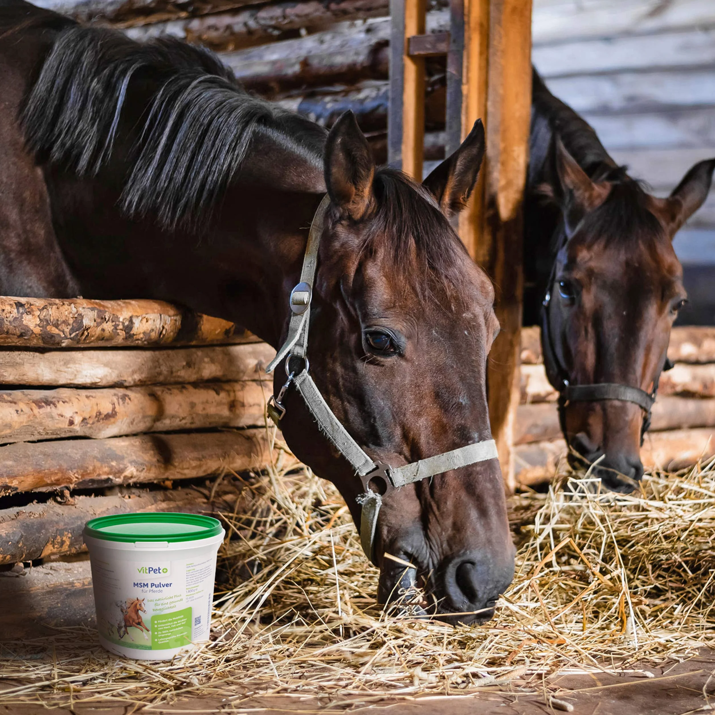 MSM Pferd - Premium MSM Pulver für Pferde im 1,8 kg Eimer inkl. Dosierlöffel (Methylsulfonylmethan- / Schwefel-Pulver für Pferde und Hunde)