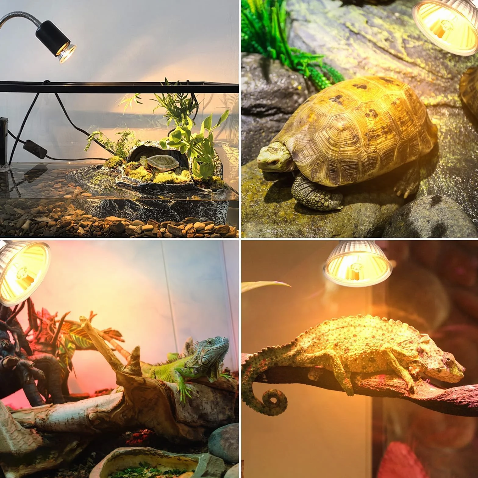 UVB żarówka żółwia E27 75 W, ściemnialna lampa grzewcza do terrarium, AC 220 V, UV lampa punktowa ciepła biel 2700 K dla żółwia Hermann jaszczurka wąż, zestaw 4 sztuk