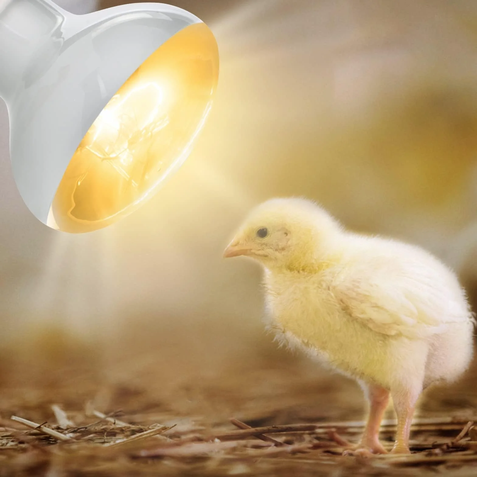 Lampa punktowa do wygrzewania, 2 sztuki, 100 W, lampa grzewcza dla gadów, płazów, piskląt, szczeniąt (biała)