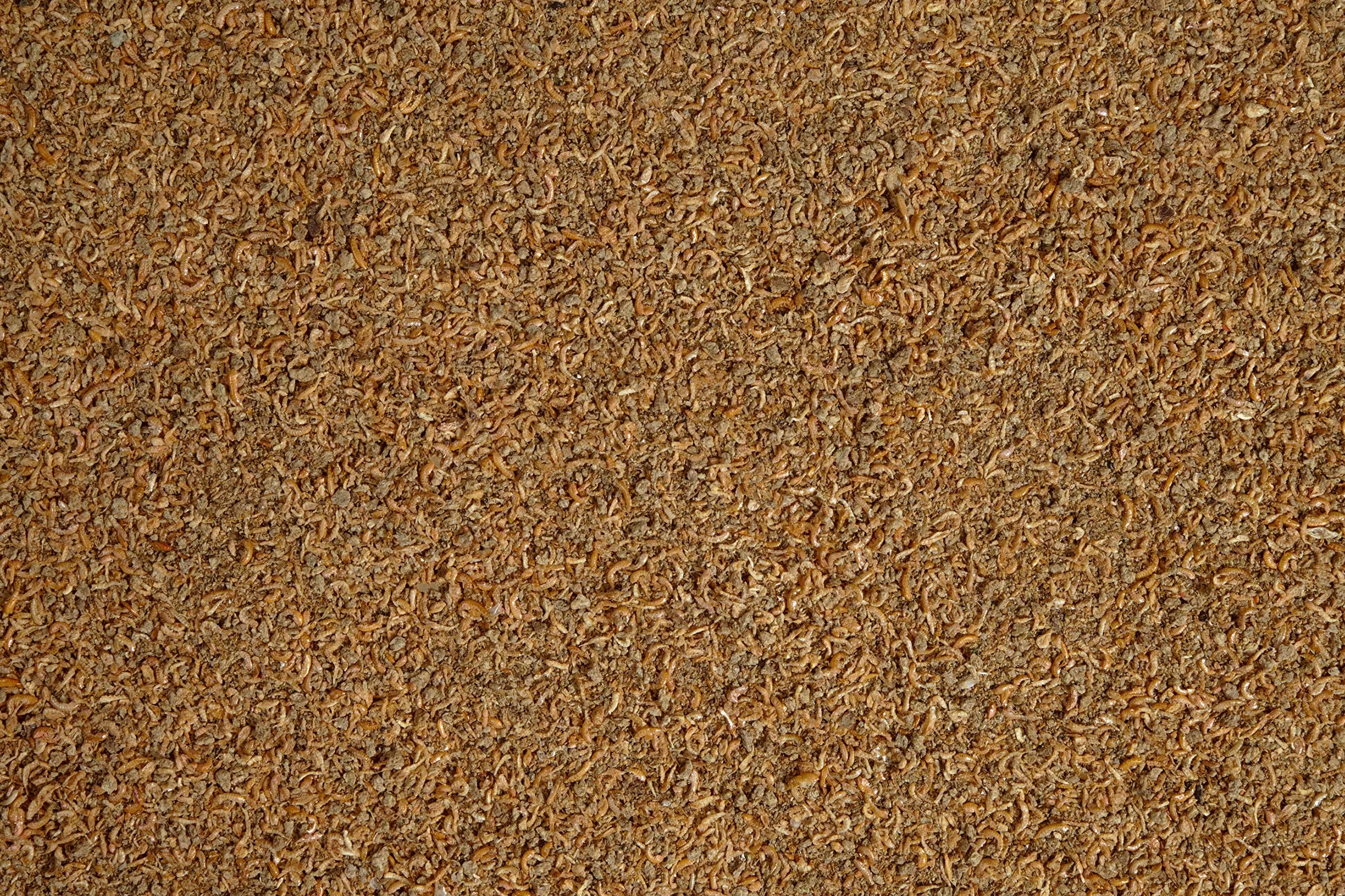 Tetra Delica Mix naturalna karma – mieszanka z 4 różnymi zwierzętami karmiącymi (flet wodny, artemia, krill, gammarus), naturalne przekąski dla ryb ozdobnych, puszka 250 ml