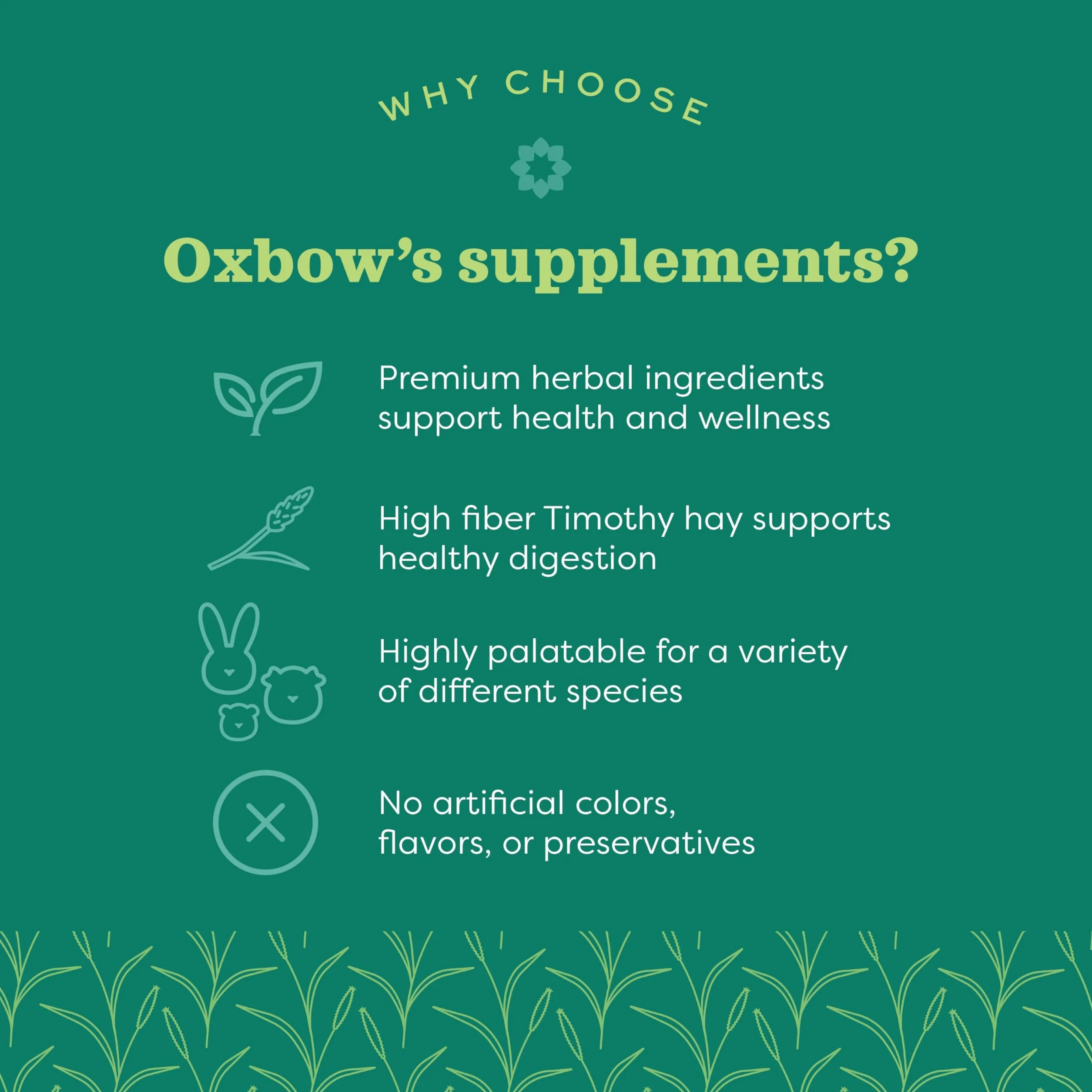 Oxbow Natural Science 60ct Witamina C Suplement Małe zwierzę Gerbil chomik
