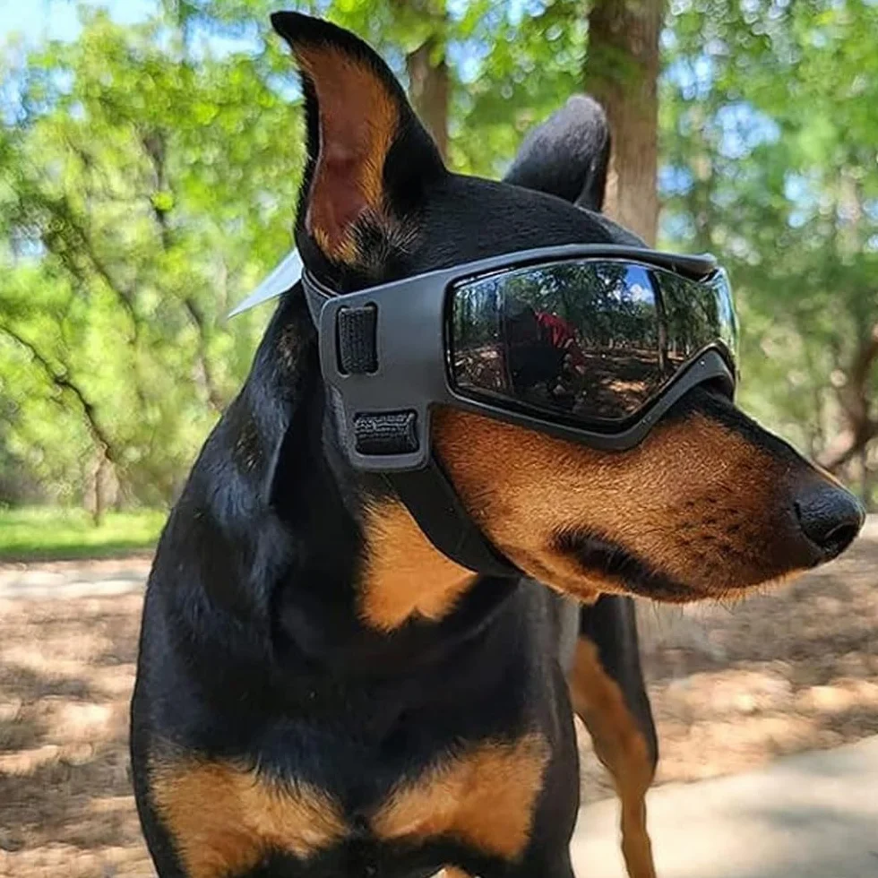 Voarge Okulary przeciwsłoneczne dla psów, okulary ochronne UV, okulary przeciwsłoneczne z regulowaną gumową taśmą, wiatroszczelne okulary motocyklowe dla psów, czarne, S