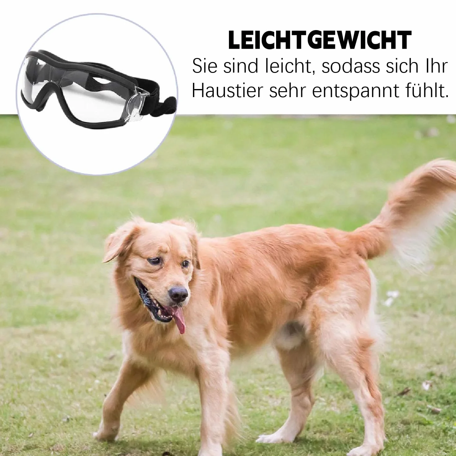 Okulary przeciwsłoneczne dla psów, okulary przeciwsłoneczne dla dużych psów, okulary ochronne UV, regulowane okulary przeciwsłoneczne dla psów dla średnich i małych, przezroczyste okulary