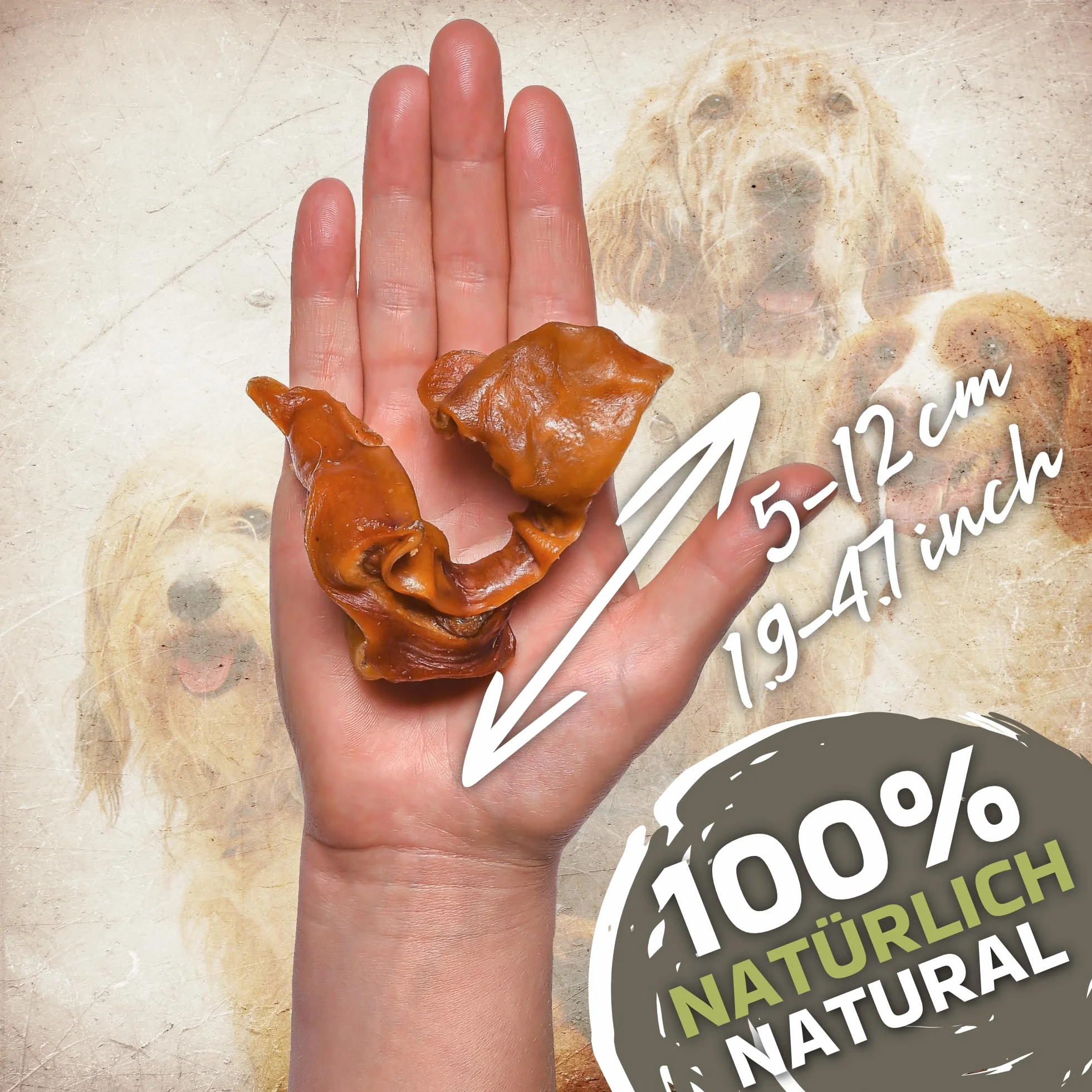 Naturalne uszy wieprzowe w paski dla psów 1 kg (55-65 sztuk) | naturalna przekąska do żucia ze 100% świni | miękka i bogata w białko | bez dodatków i bez zbóż