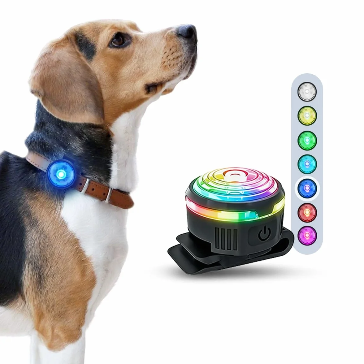 PAJ LIGHT MINI - Mini Świecąca Obroża LED Dla Małych I Średnich Psów I Kotów - Regulowane Mocowanie - 100% Wodoodporna - 7 Kolorów - Widoczność I Bezpieczeństwo W Nocy