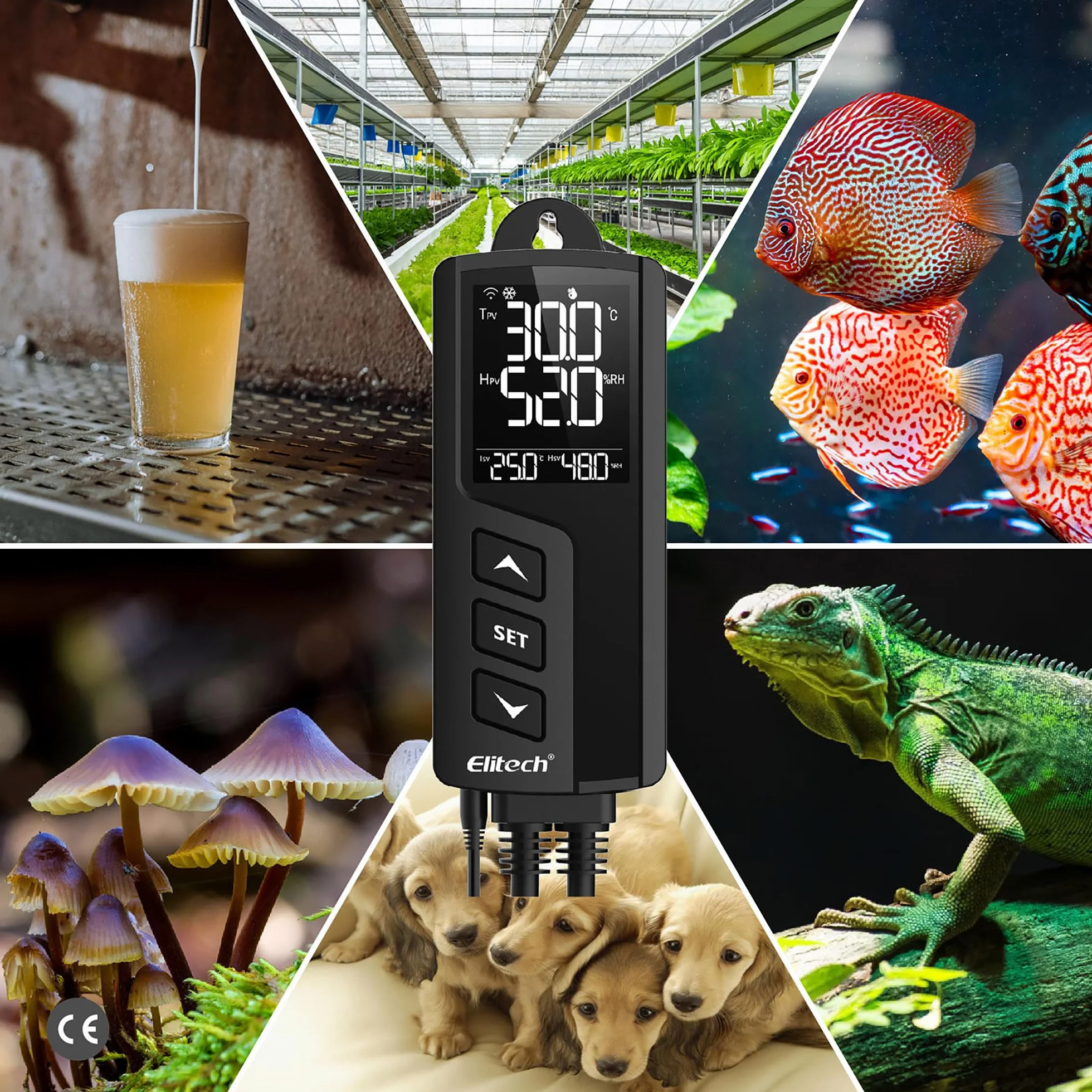 Elitech STC-1000PROTH WIFI Cyfrowy regulator temperatury i wilgotności Termostat 110V 10A 1200W