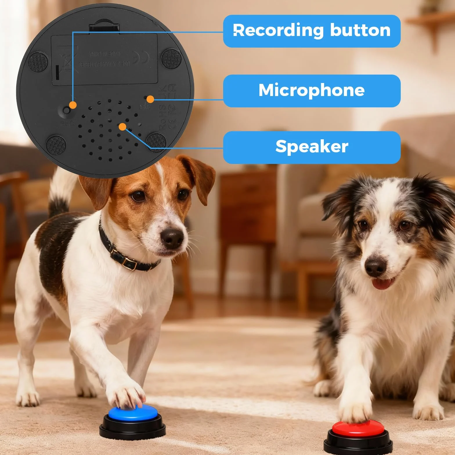 Buzzer z dźwiękiem, 2 sztuki, brzęczyk z funkcją nagrywania, dla zwierząt domowych, zabawka inteligencyjna dla psów z funkcją nagrywania 30 s, przycisk do dyskusji dla psów i kotów (czerwony i