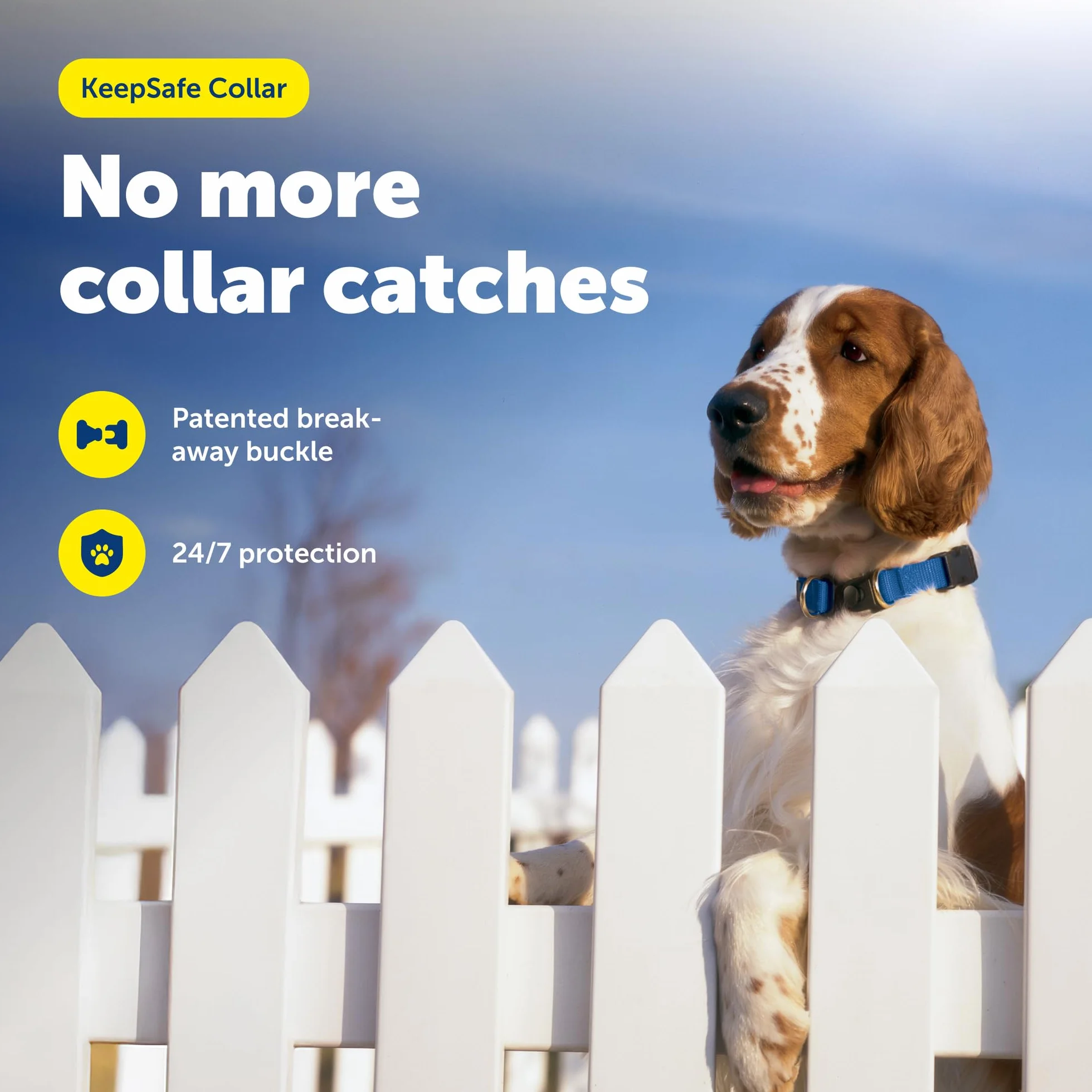 PetSafe KeepSafe Collar for Dogs - Protects Against Collar Accidents - Long Lasting - Durable - Adjustable - Breakaway - Outdoor-Safe - Small - 3/4 in. Wide - Blue