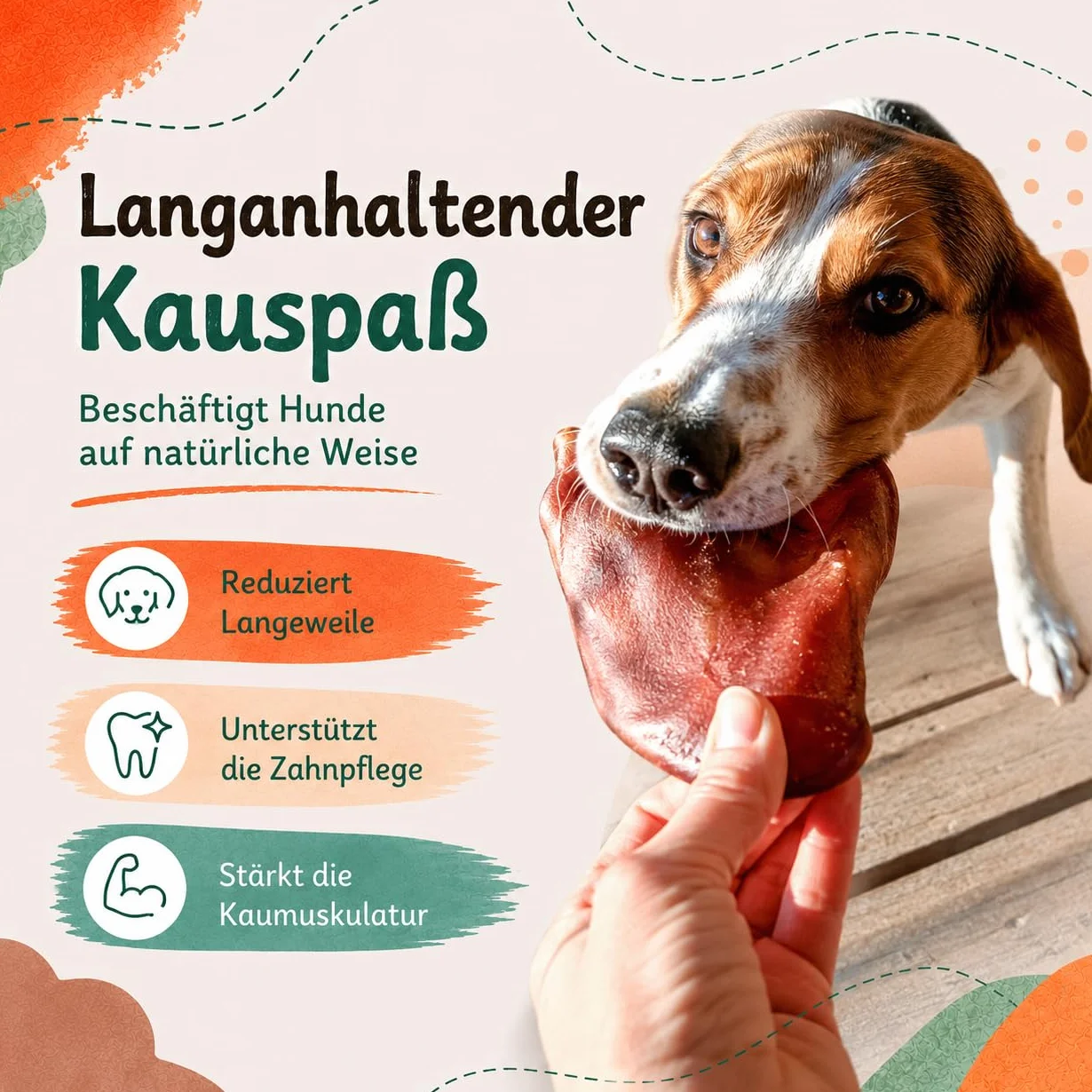 Uszy Wieprzowe dla Psów 1kg, Naturalny Gryzak Premium, 100% Naturalne, Bez Chemii, Bez Zbóż, Zdrowe Przysmaki, Higiena Jamy Ustnej, Polska Produkcja, Dla Małych i Dużych Psów