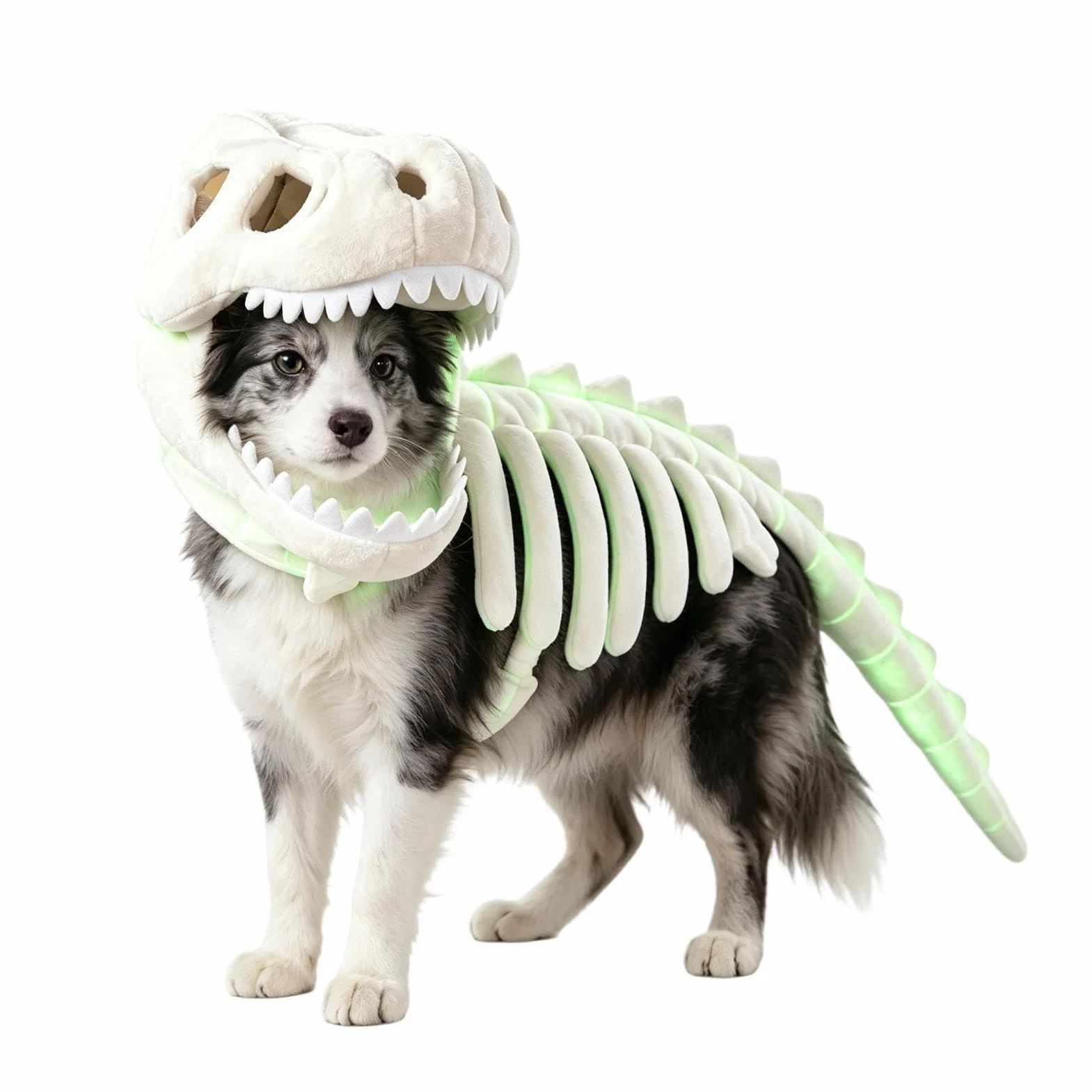 Kostium Dinozaura Szkielet Dla Kotów Świecące Halloweenowe Stroje Dla | Halloweenowy Kostium Szkieletu Dinozaura Szczeniaka Do Domu Mieszkania Sypialni Spotkań Przyjaciół