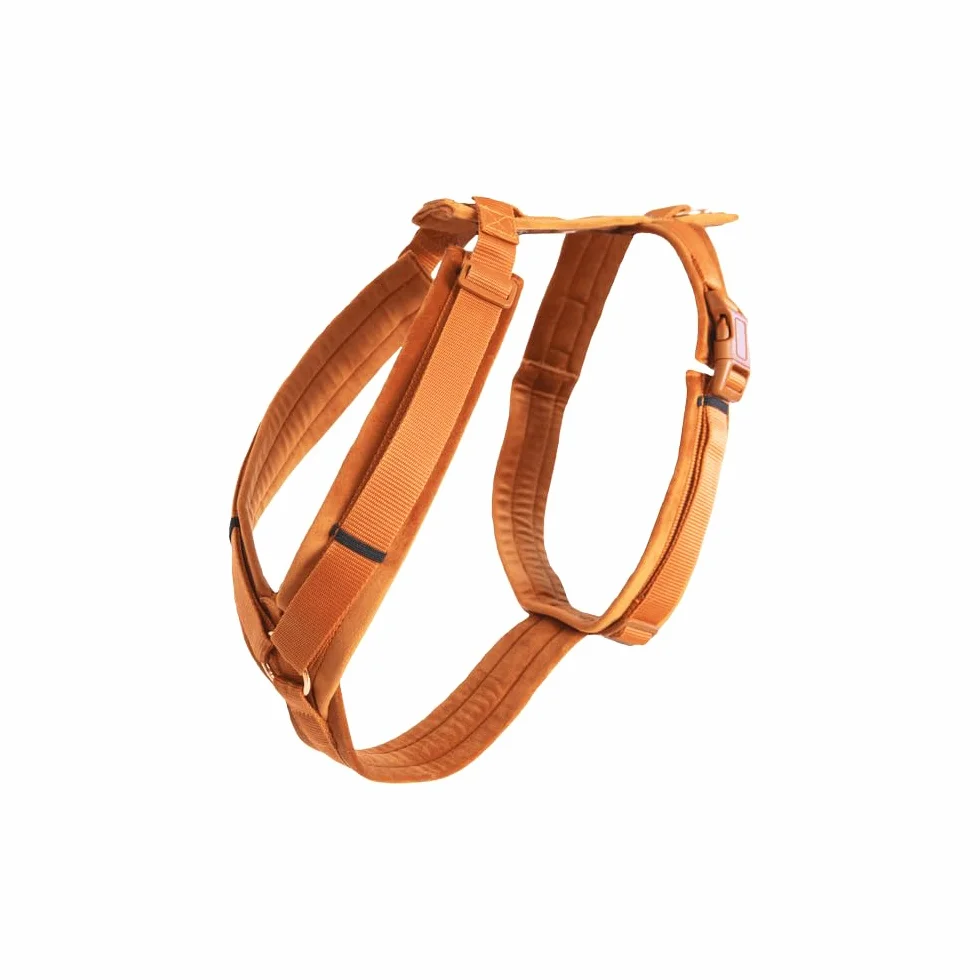 Kentucky Dogwear Uprząż dla psa aktywny aksamit, rozmiar XL, kolor: pomarańczowy, 42640-45-XL
