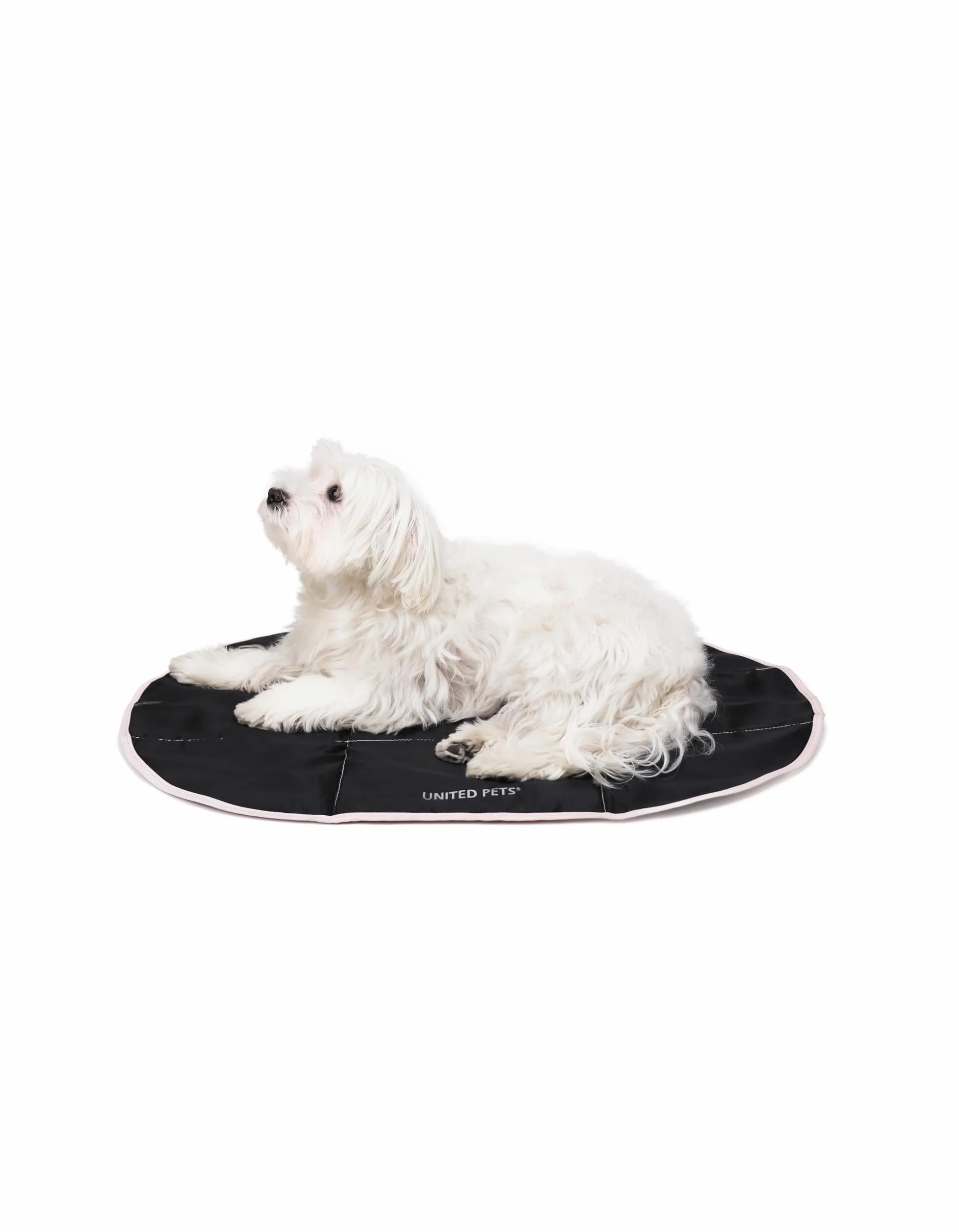 United Pets Lazy Dog Mat - Przenośne składane legowisko dla psa, mata do restauracji i podróży, lekka mata do spania, kolor czarny różowy
