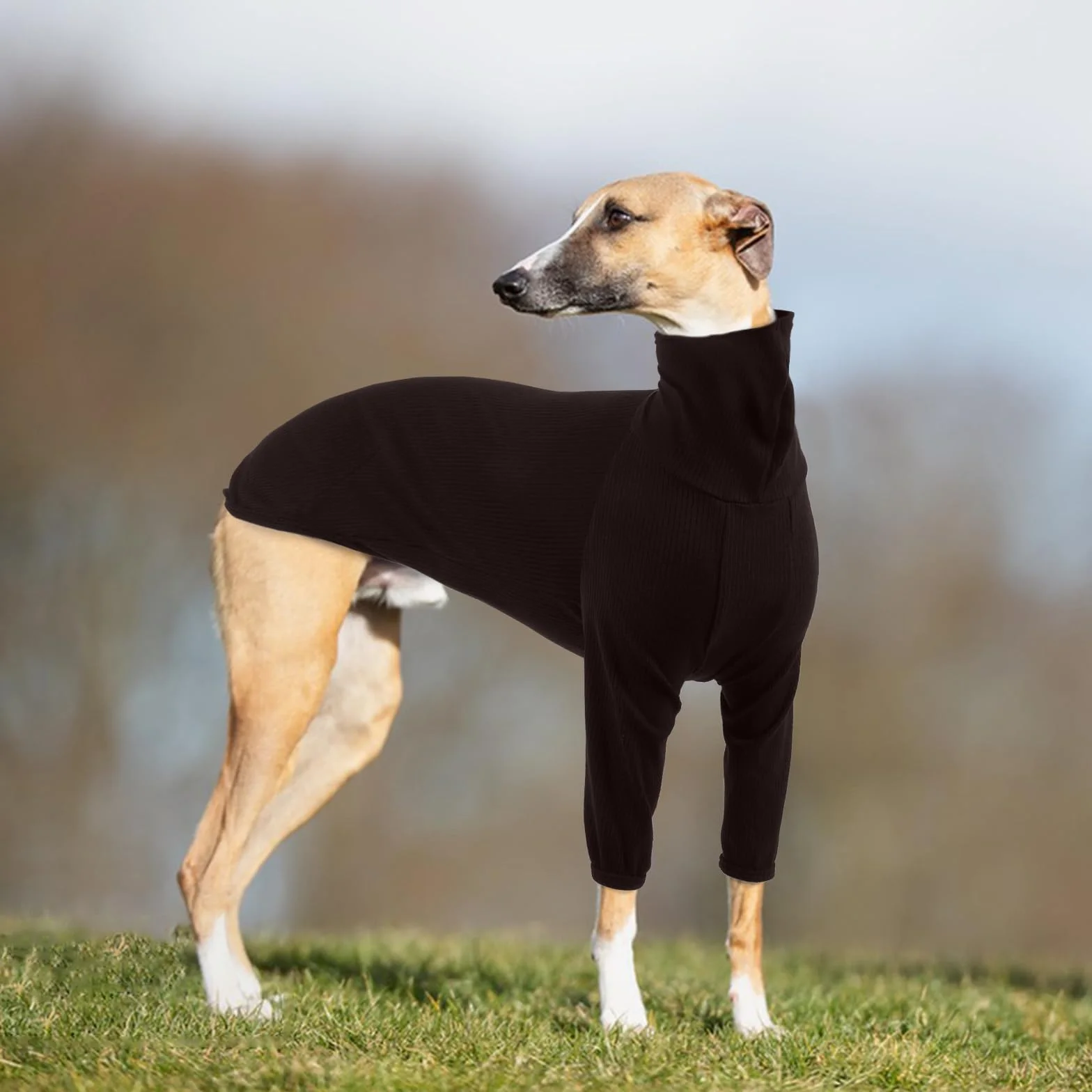 Lekki sweter charta, płaszcz Salukis, miękki pulower dla psa, golf, płaszcz charta z nogami, ciepła kamizelka (brązowy, 2XL)