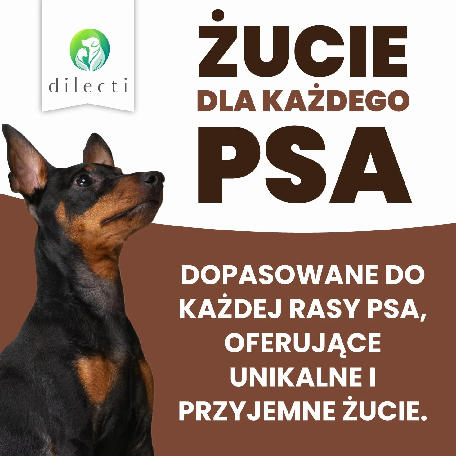 gryzaki dla psów z drewna oliwnego - Gęste i twarde przysmaki dla psów naturalnie bogate w przeciwutleniacze, wzbogacone naturalną oliwą z oliwek - rozmiar L (220-450g), opakowanie 2 szt.